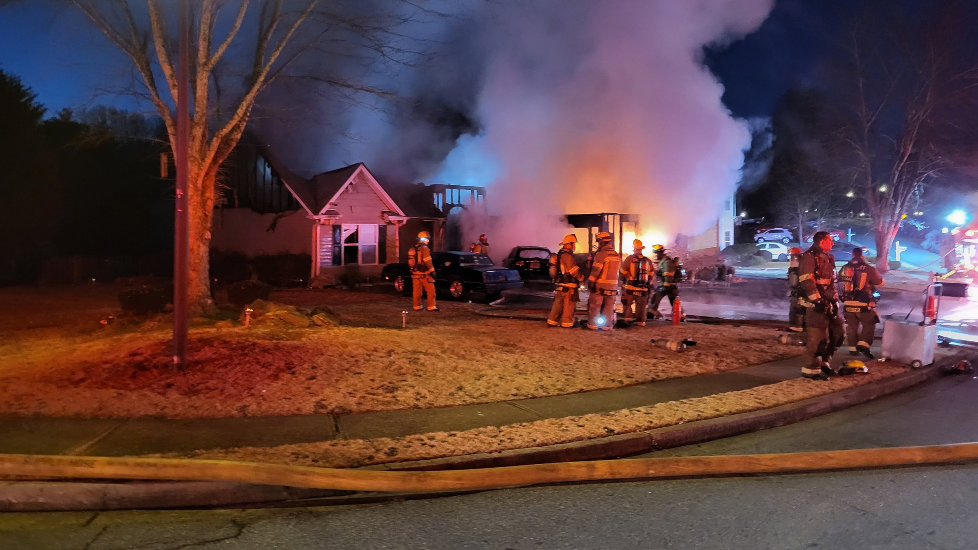 Firefighters battled cold and flames early Sunday, rescuing two dogs from a home in Gwinnett County, officials said.
