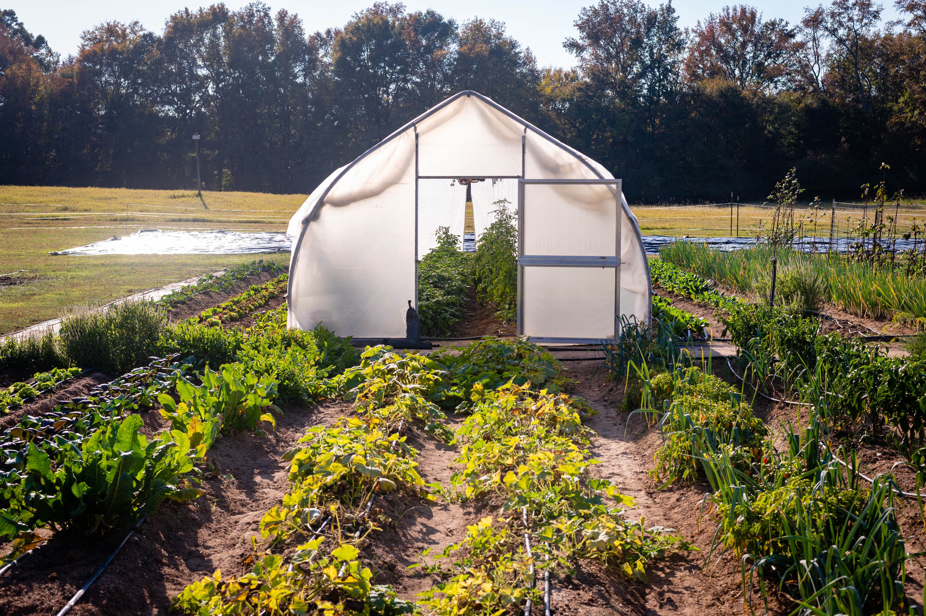 The garden at Quercus provides many of the ingredients used at the resort's restaurant, Uberto. (Credit: Henri Hollis / henri.hollis@ajc.com)