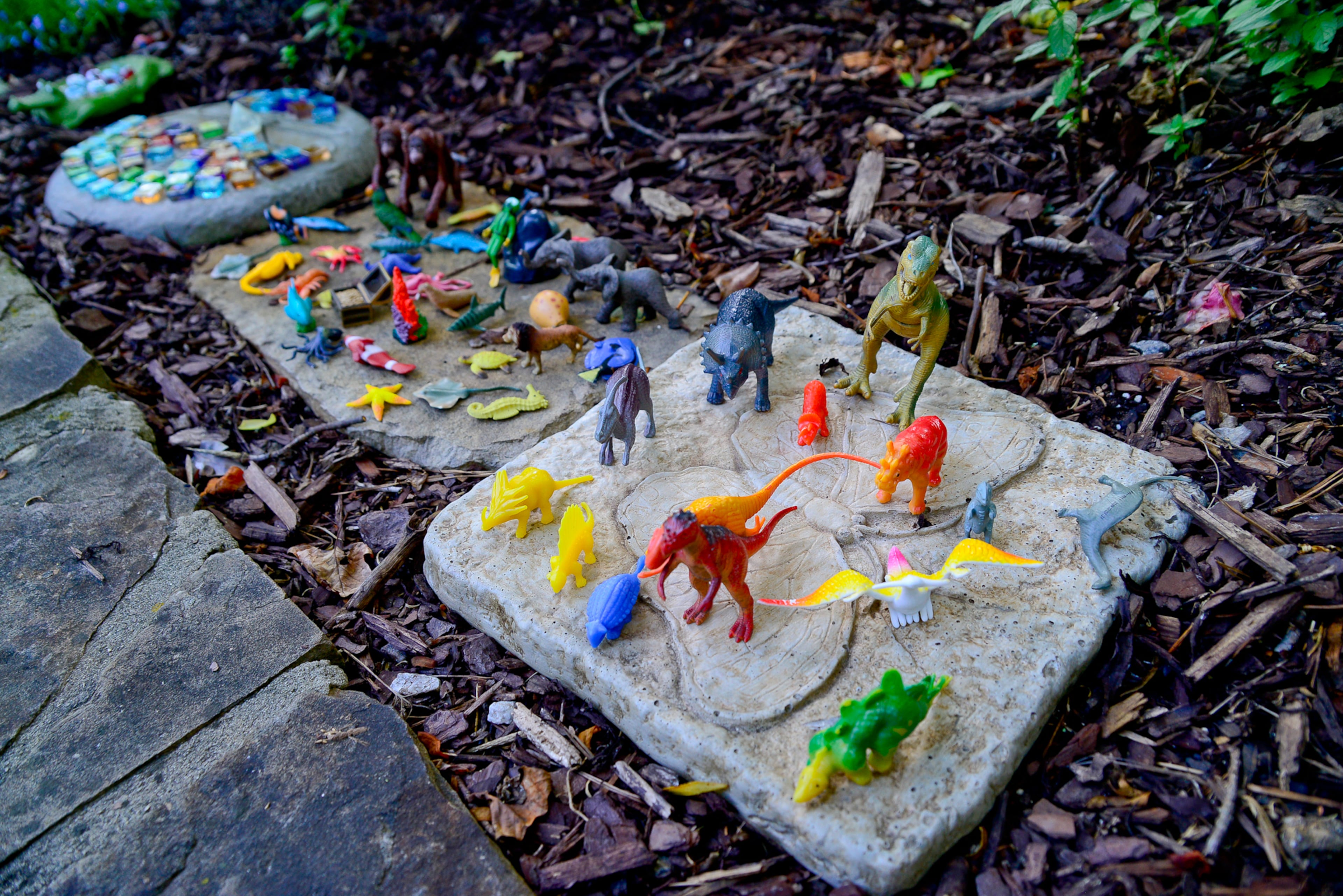 It's a different type of Jurassic world in the Roswell garden, which a treasure garden with creatures and stones for homeowners' grandchildren to find and use when playing.