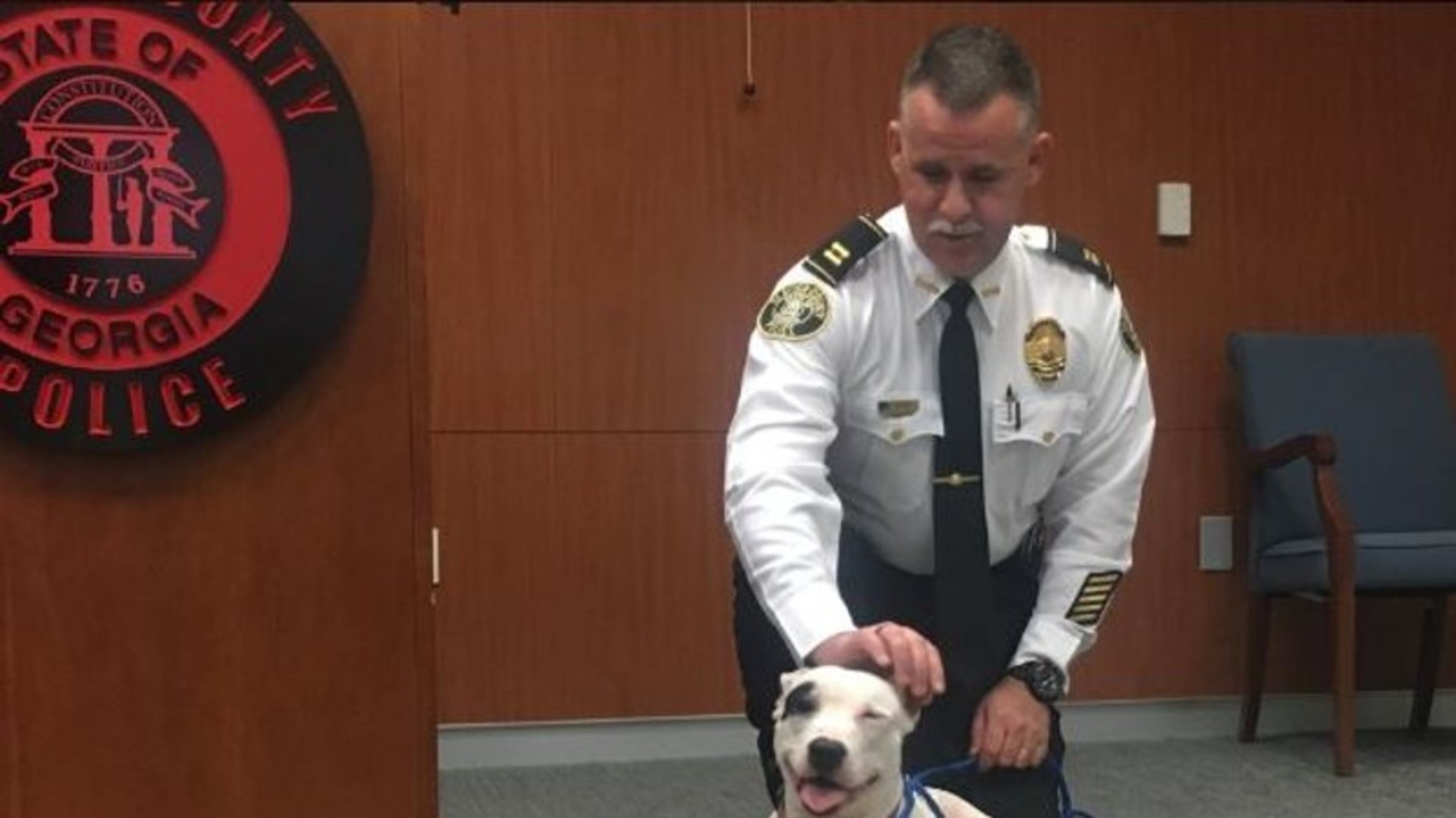 Two dogs were found starving outside a Clayton County home. This one survived. (Credit: Channel 2 Action News)