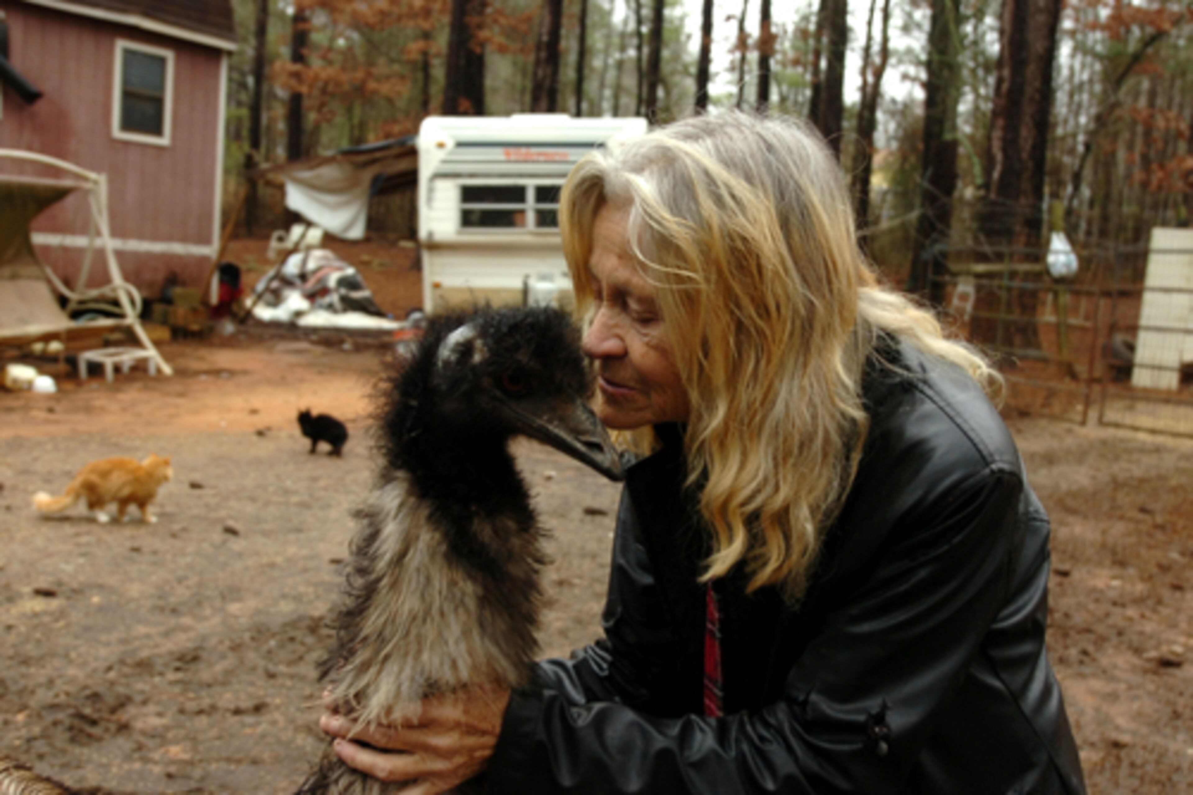 Peggy Dye gives one of her emus a kiss.