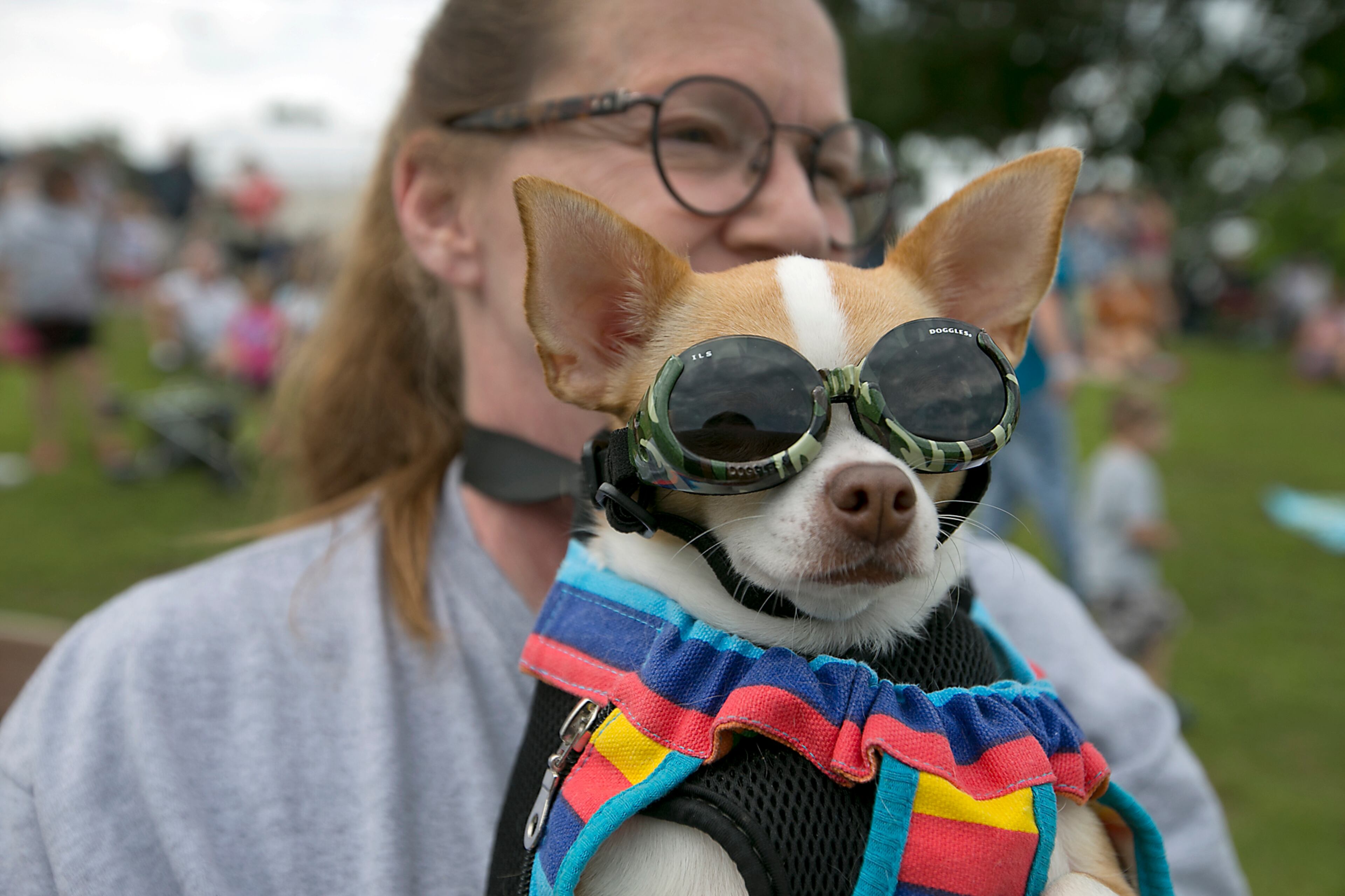 Jana Perez and her dog Stevie watch the action upclose. The 18th Annual Buda County Fair and Weiner Dog Races was held at city park in Buda Sunday April 26, 2015 sponsored by the Lions Club. RALPH BARRERA/ AMERICAN-STATESMAN
