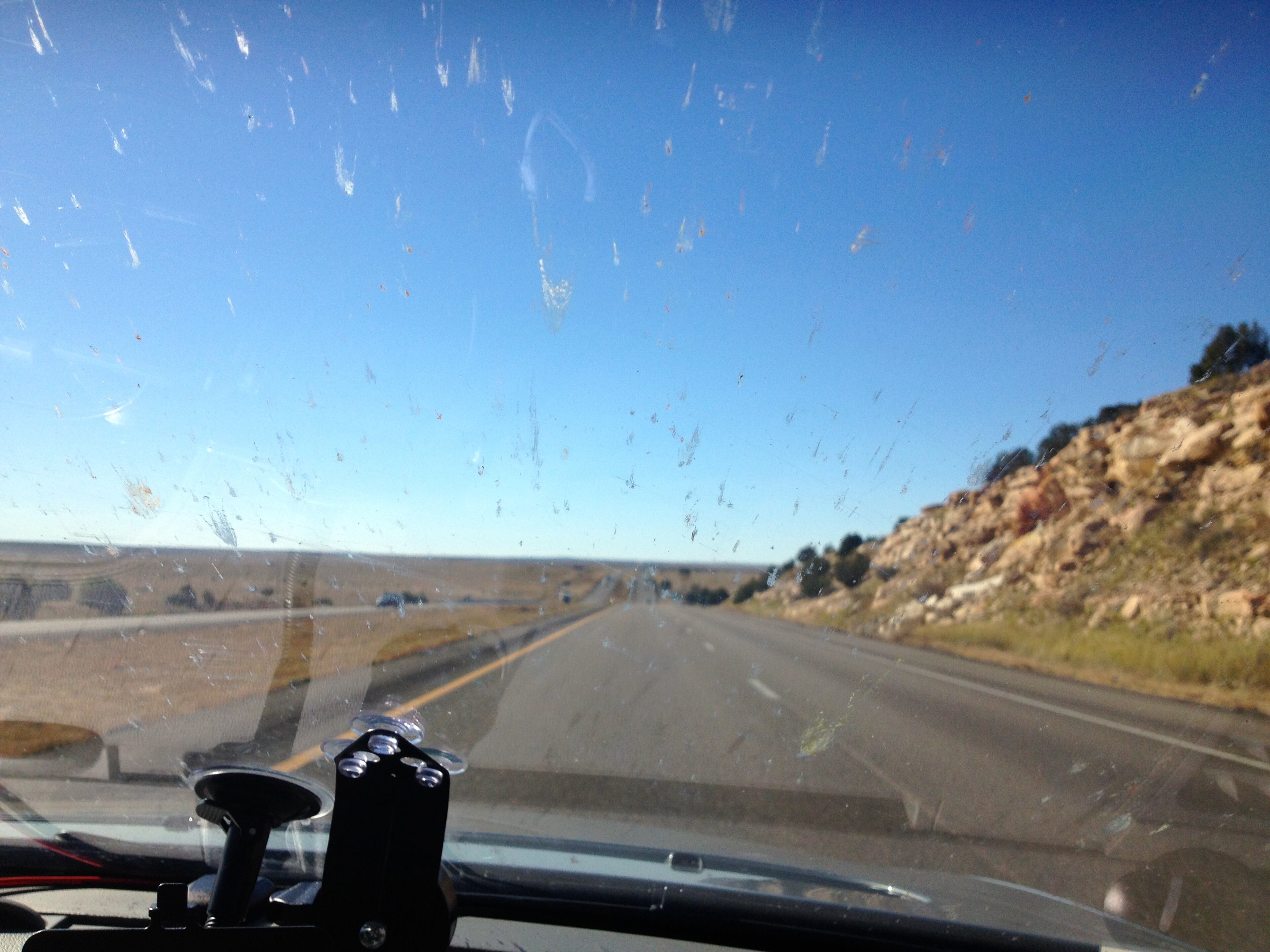 Fortunately for Bolian and his two co-pilots, bugs were the only creatures to die in the high-speed run across the country.The team averaged 98 mph from New York to California, and a lot of bugs ended up as spatters on the windshield.