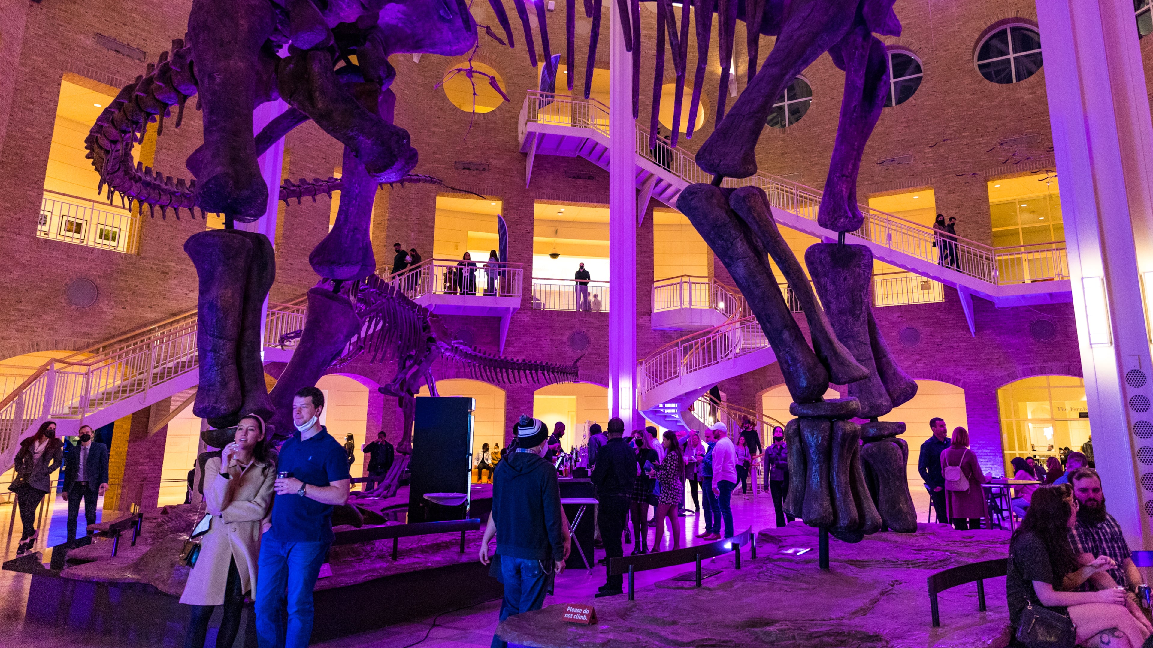 During Fernbank After Dark events, which take place on the second Friday of each month, you can explore the museum’s exhibits and collections after hours, all while enjoying live music, drinks, science presentations, and other fun activities. (Jenni Girtman for The Atlanta Journal-Constitution)