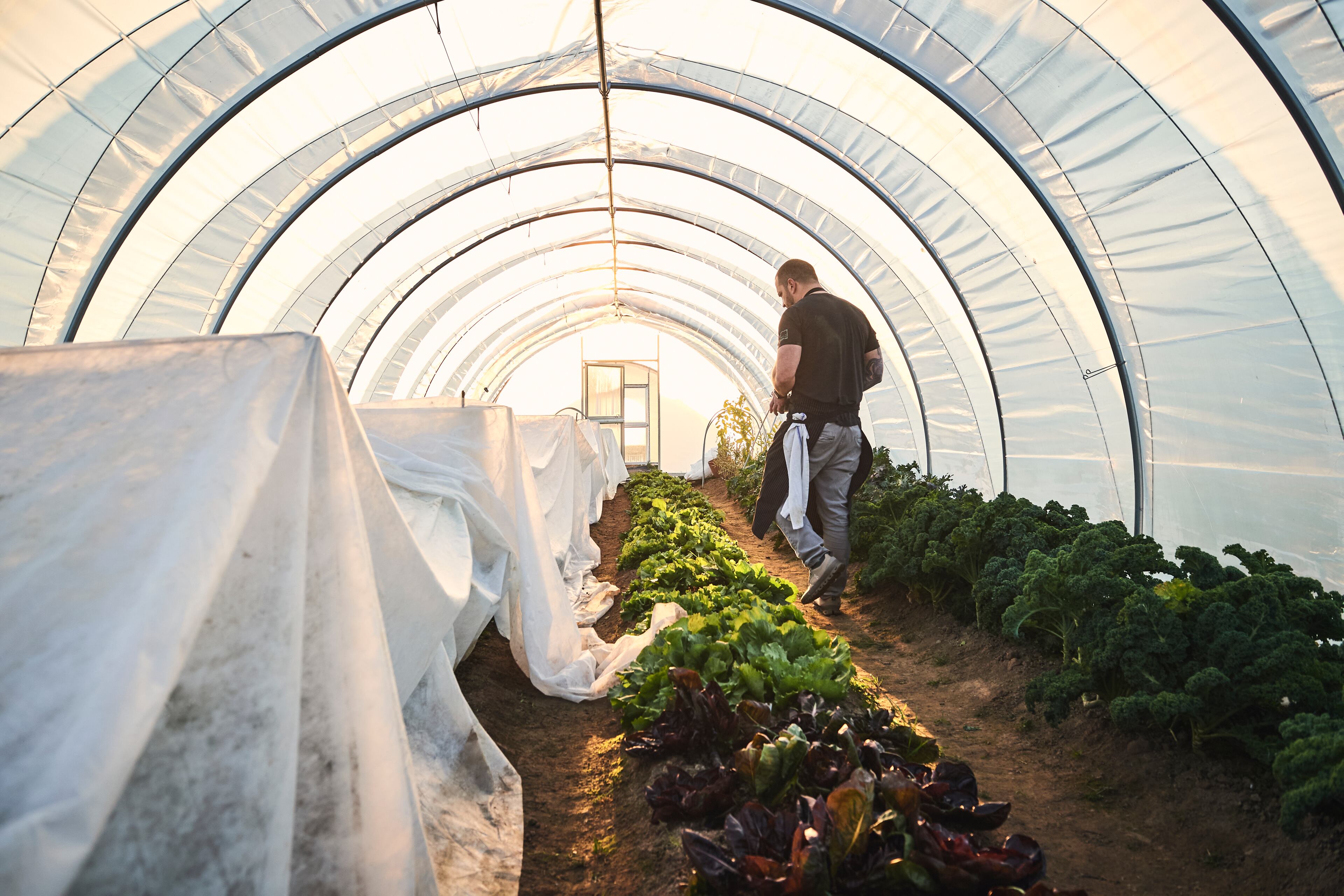 Chef Ryan Smith in a greenhouse in the Quercus garden. (Credit: Mammoth Studios, courtesy of Quercus)