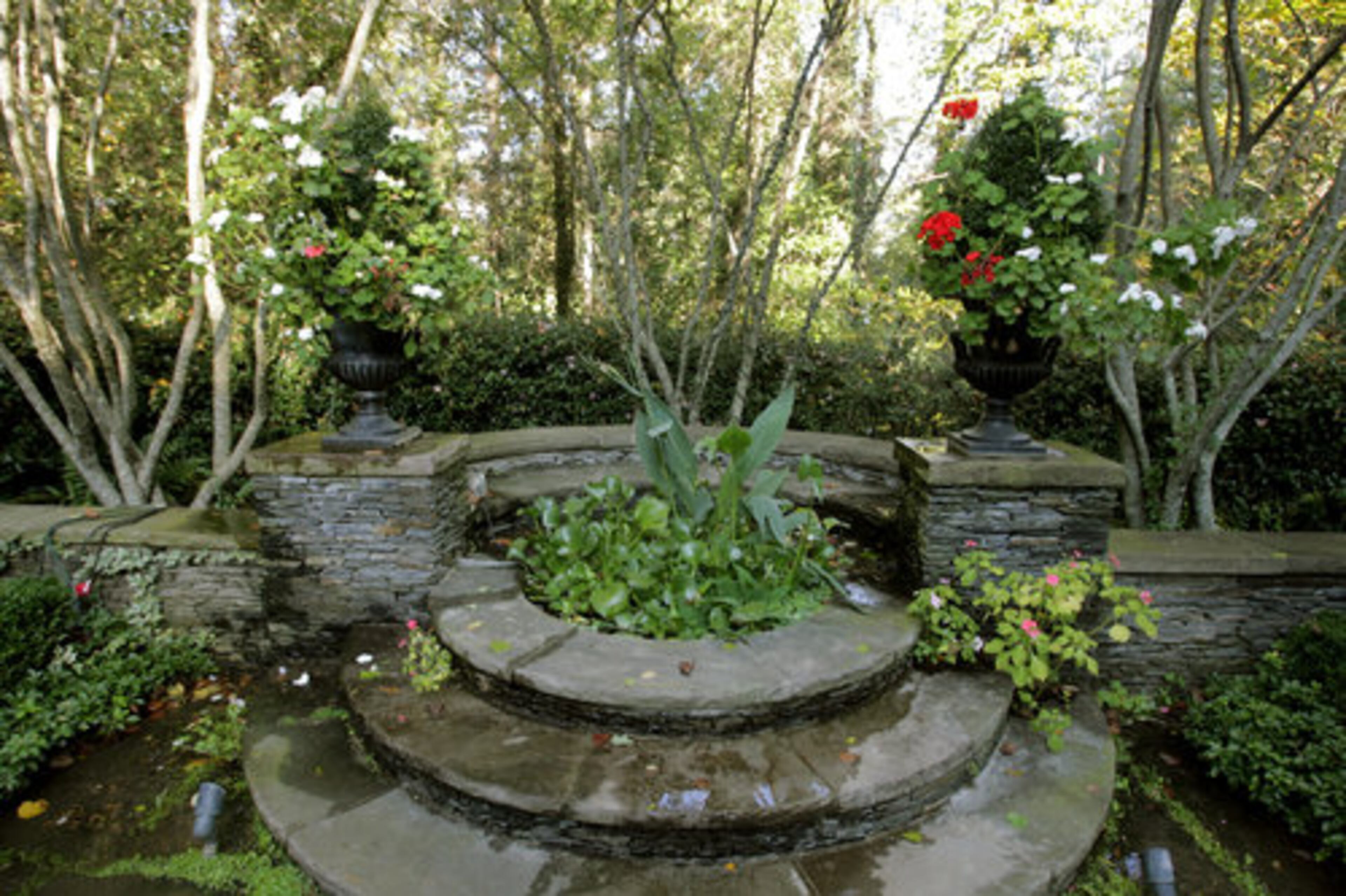 Even in the fall, McKeown's garden bursts with life. The affable McKeown joked that she started gardening as a child by clipping plants from neighbors' gardens. "I don't really know how to garden; it's an experiment. If it doesn't work, just move it."