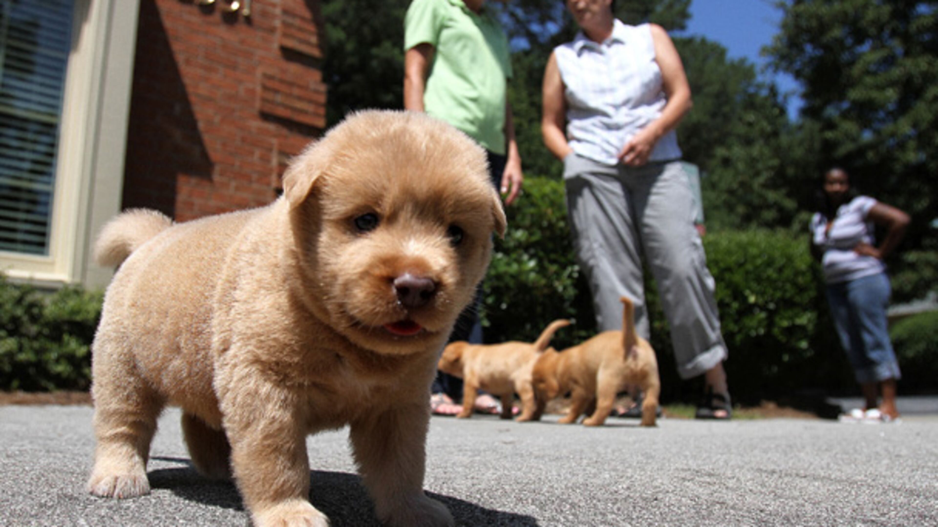 The Myers Group, a growing health care market research company that has now joined forces with SPH Analytics, maintains a small family atmosphere – and boosts productivity.