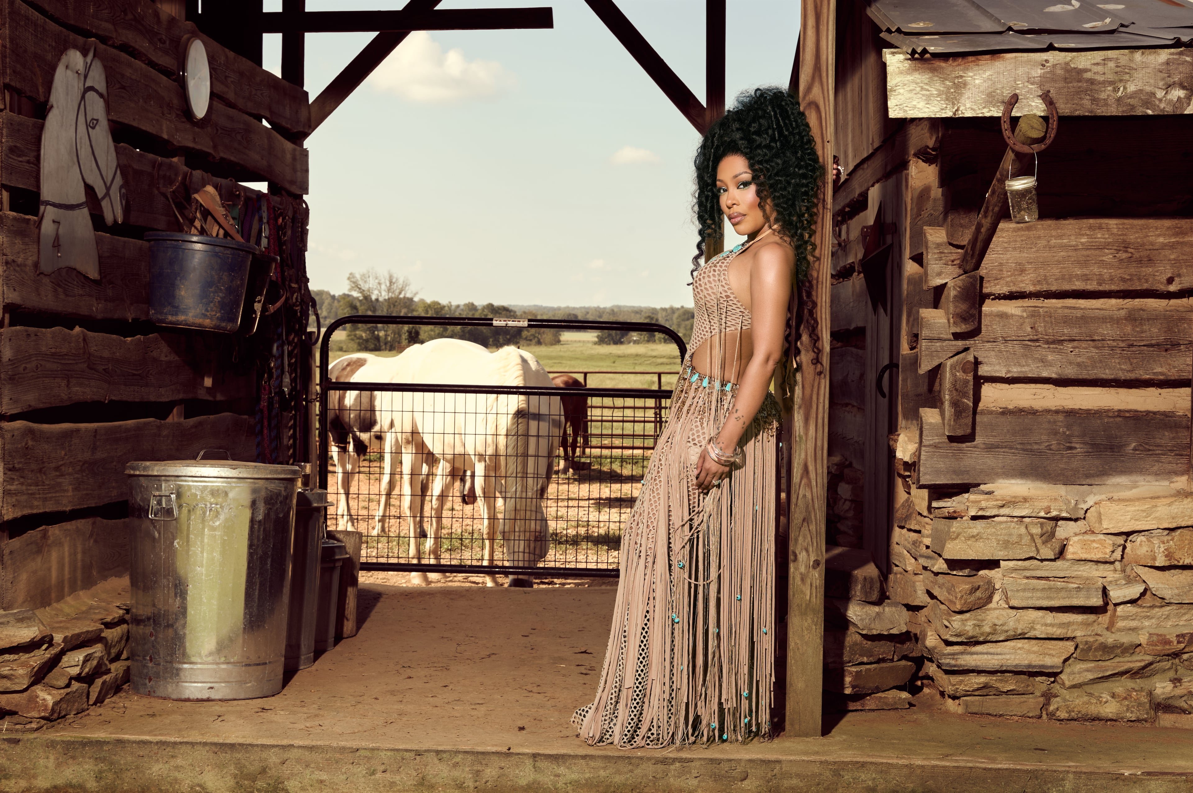 K. Michelle