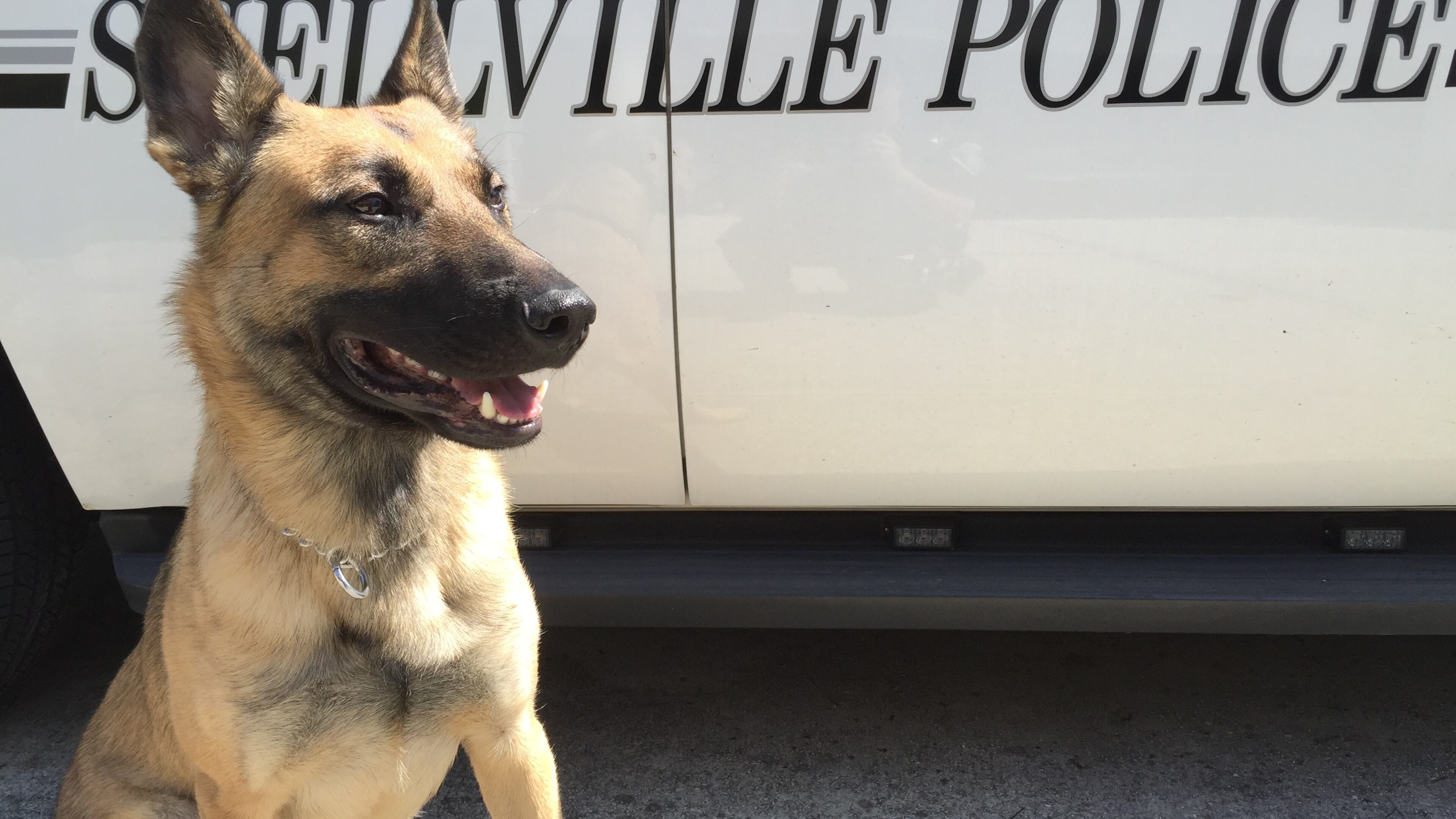 Snellville has raised $10,000 to add a new police dog to its force.