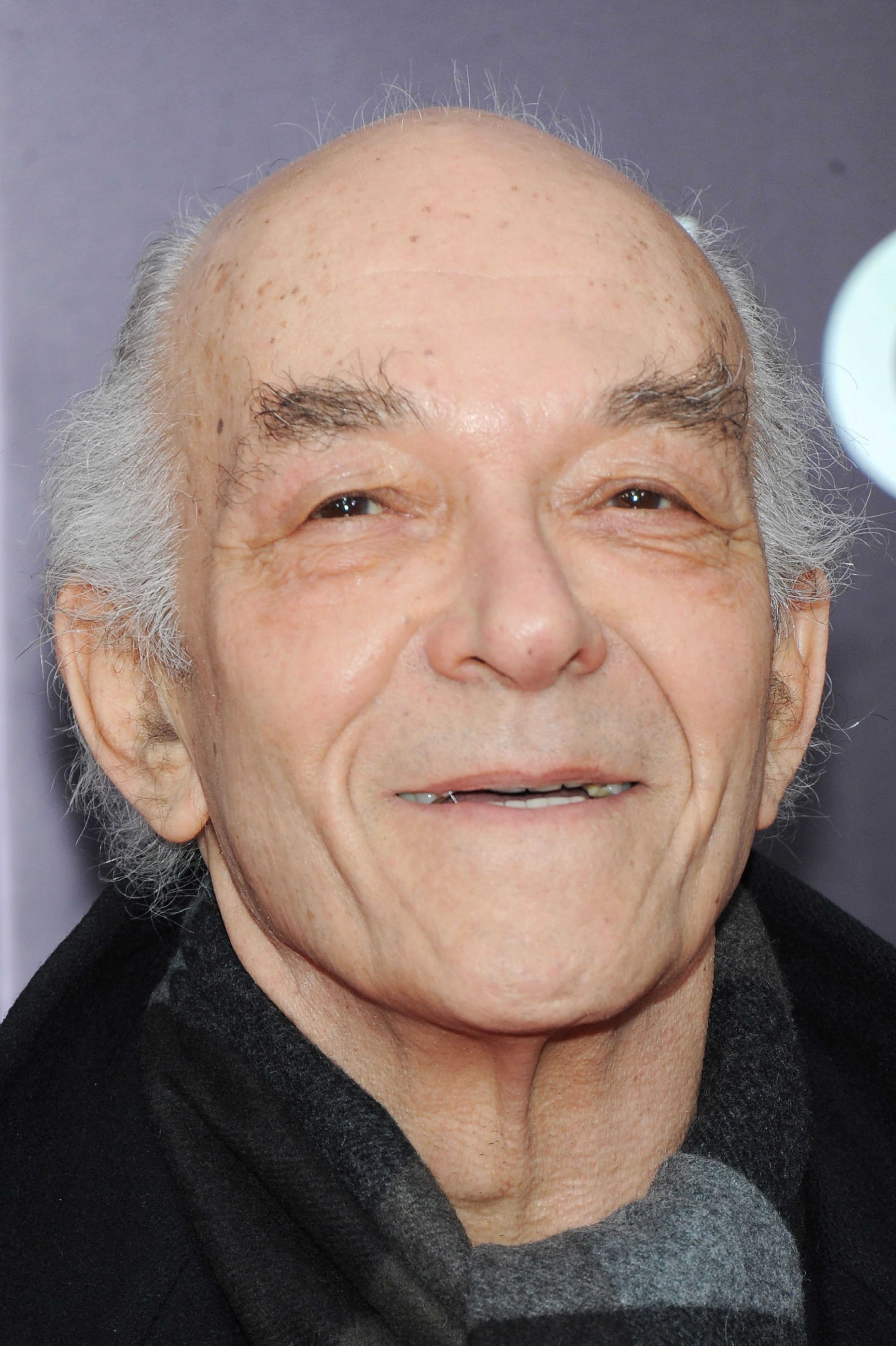 NEW YORK, NY - MARCH 26: Actor Mark Margolis attends the "Noah" New York premiere at Ziegfeld Theatre on March 26, 2014 in New York City. (Photo by Jamie McCarthy/Getty Images)