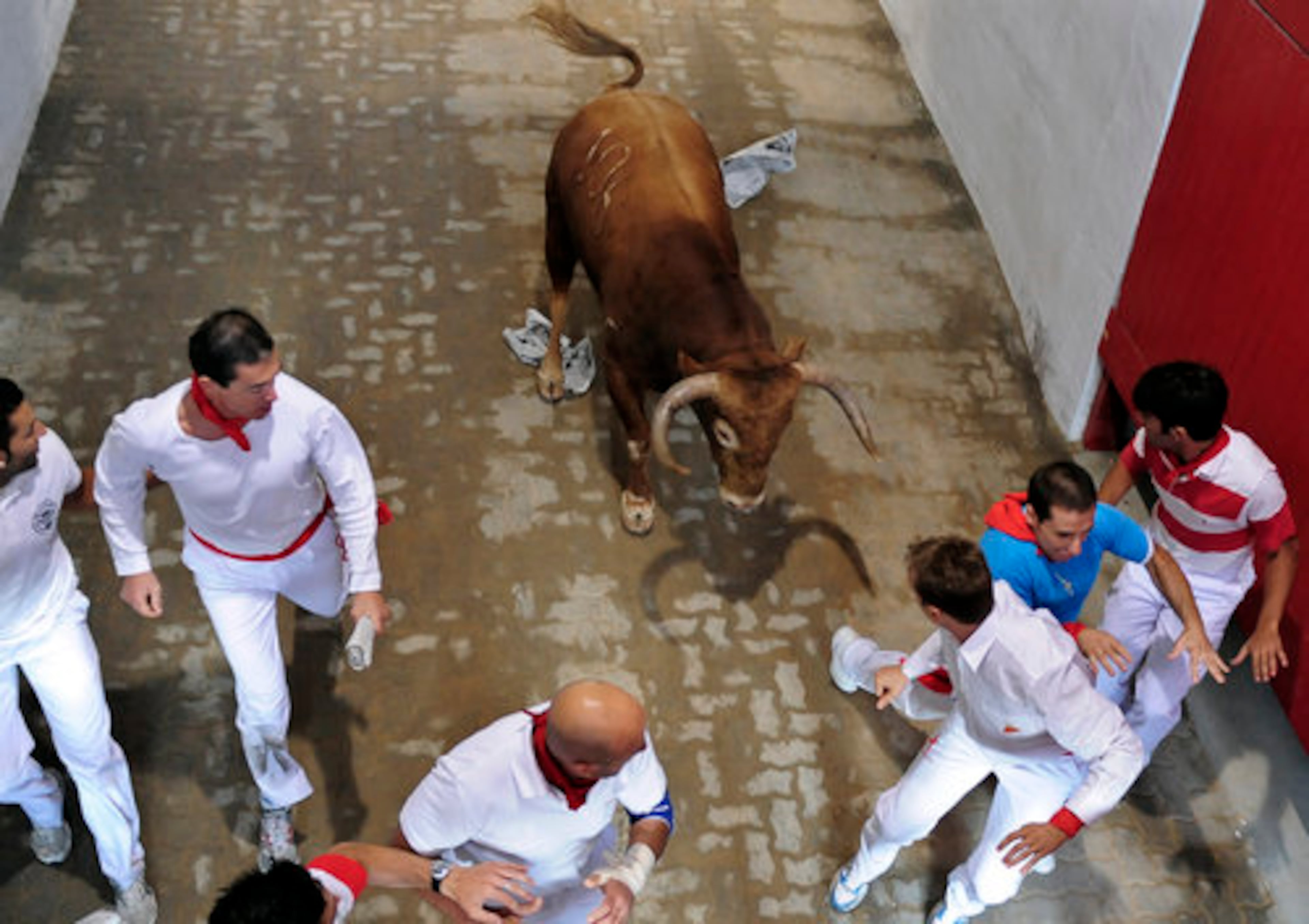 A charging bull (above) gored a young Spanish man to death Friday at Pamplona's San Fermin festival, the first such fatality in nearly 15 years. Nine others were injured in a particularly dangerous and chaotic chapter of the running of the bulls.