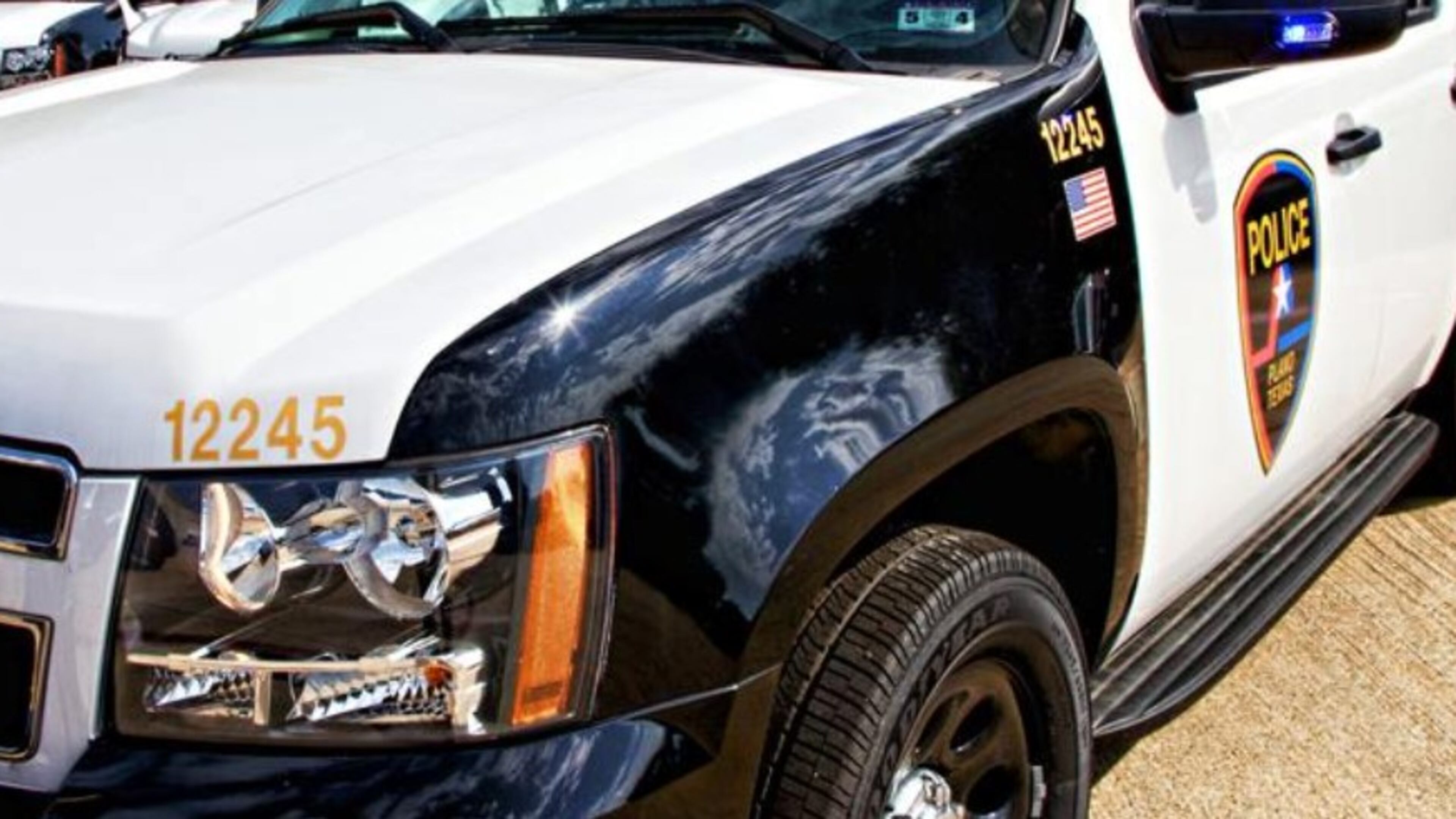 A dog in Plano, Texas, accidentally shot its owner, according to police.