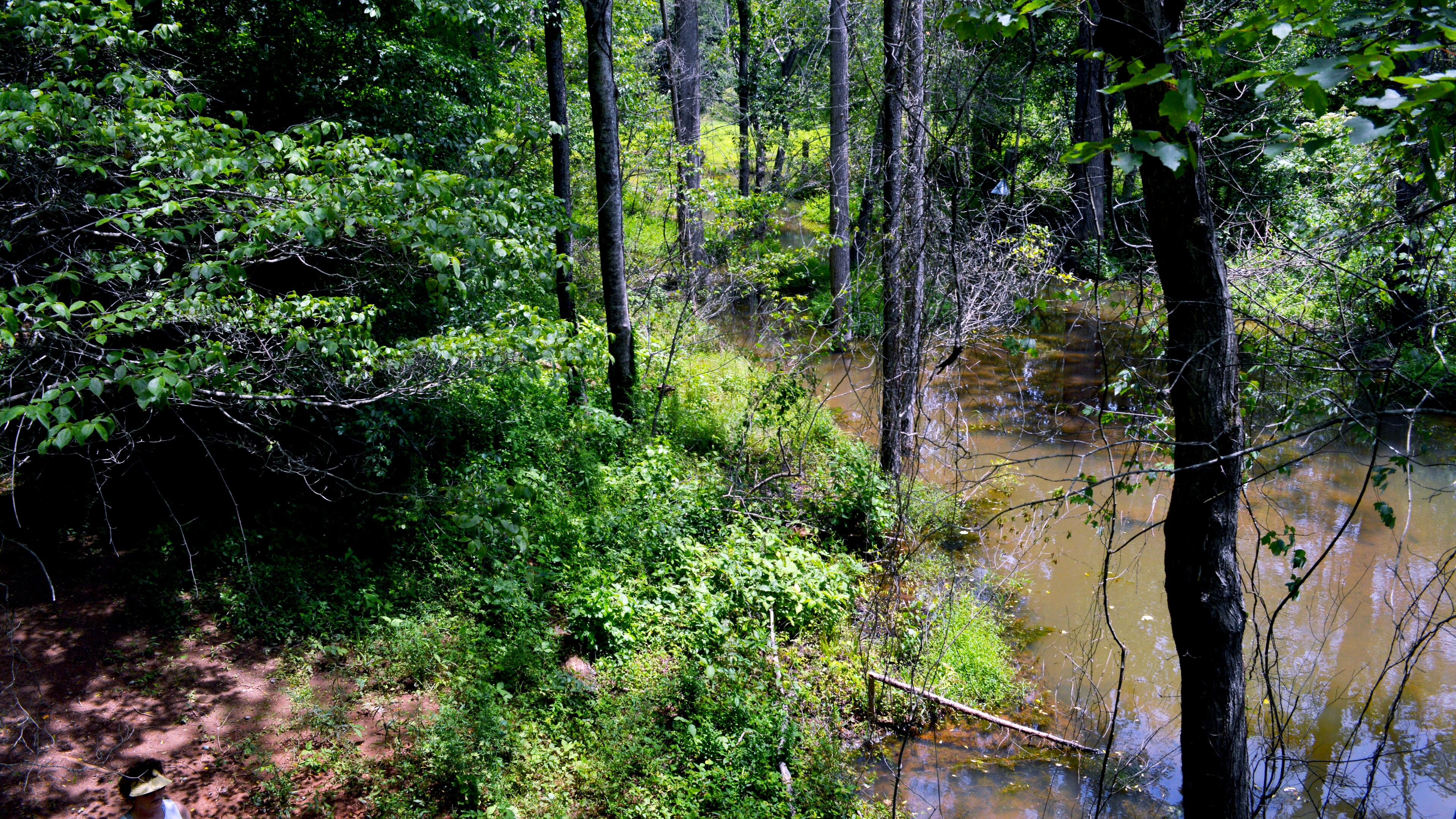 wetlands were plentiful on the hike.