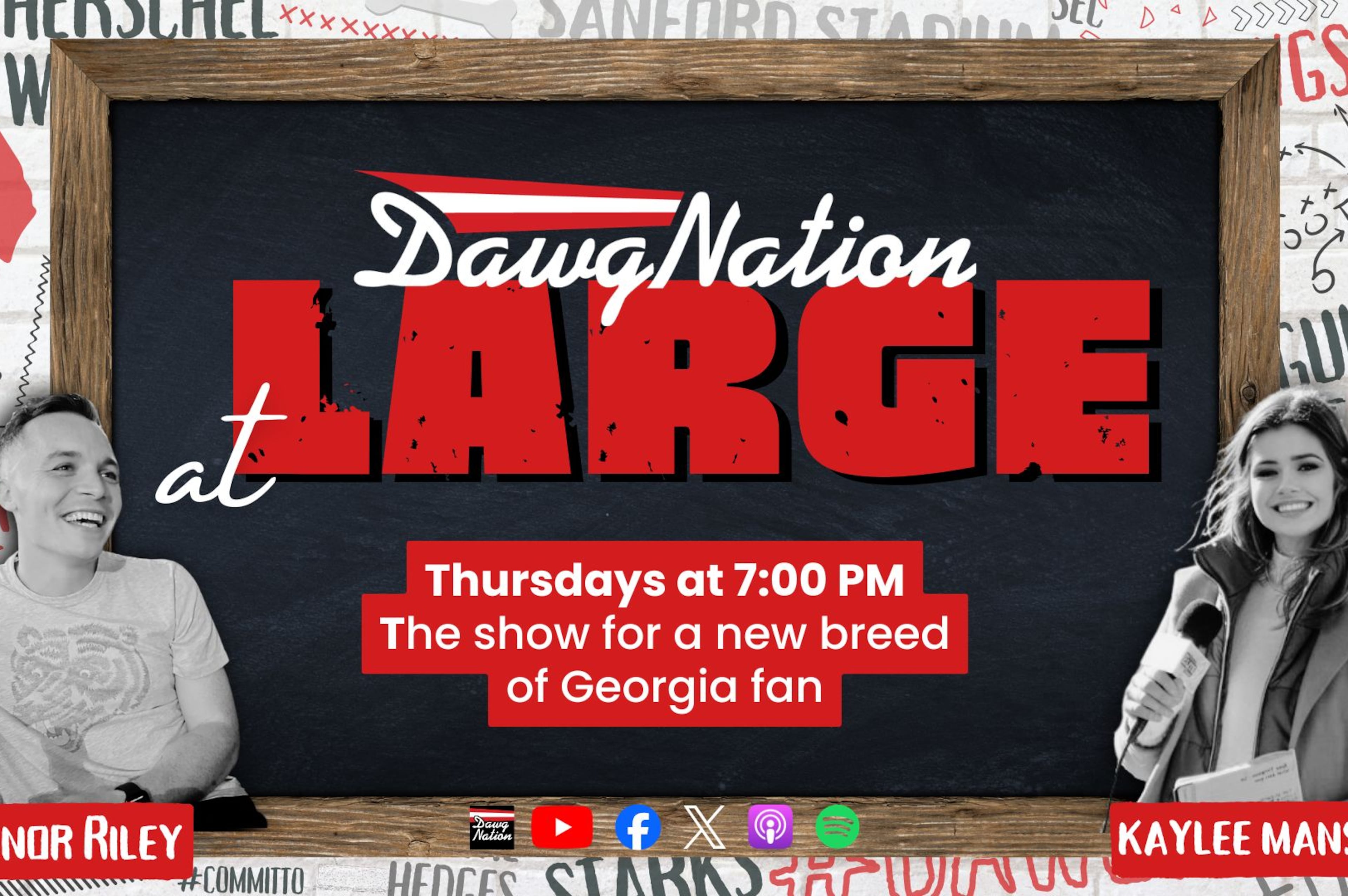 DawgNation at Large Promo graphic