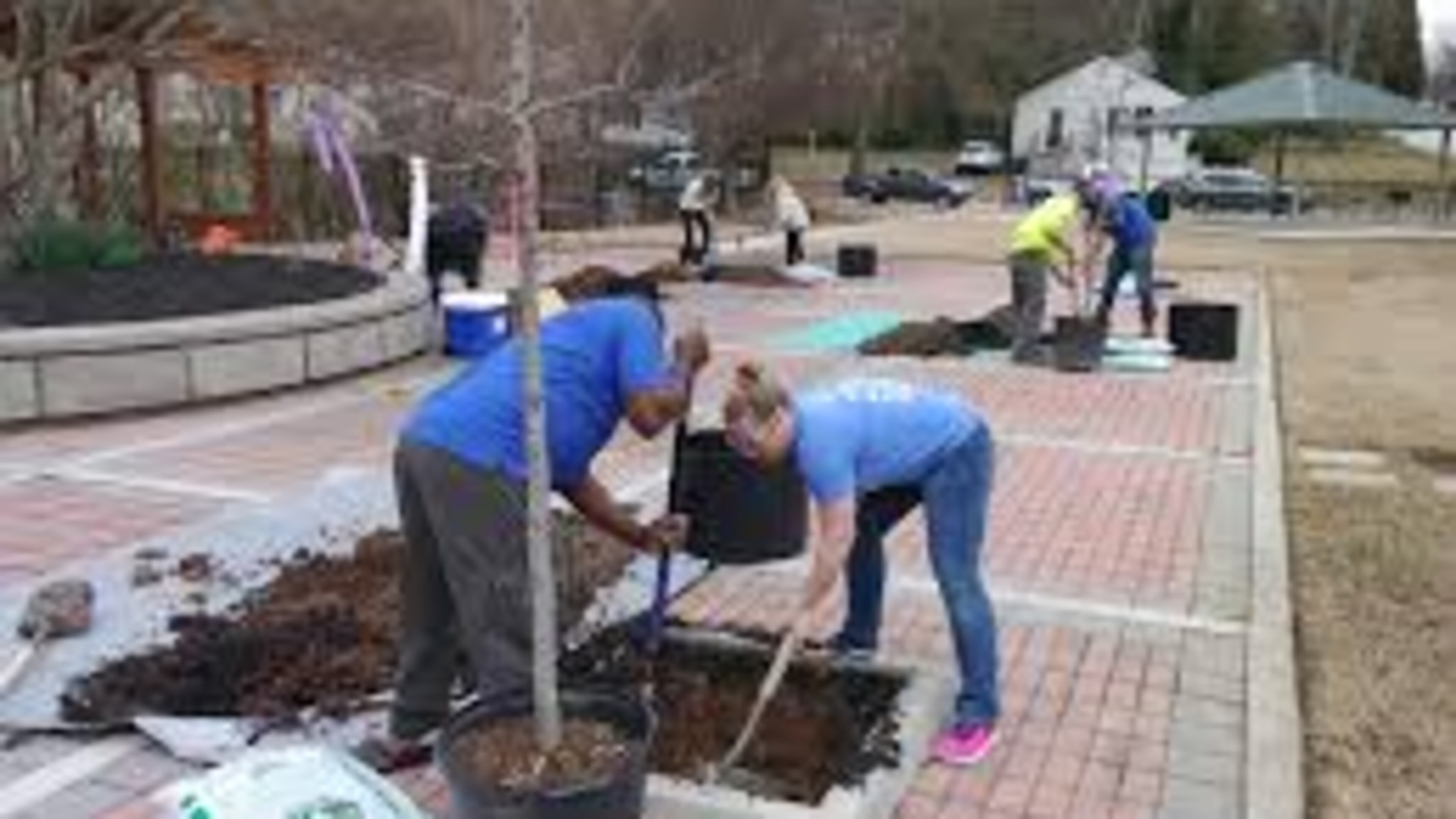 The city of Chamblee will celebrate Georgia’s Arbor Day with a park cleanup and tree planting on Friday, Feb. 21. CONTRIBUTED