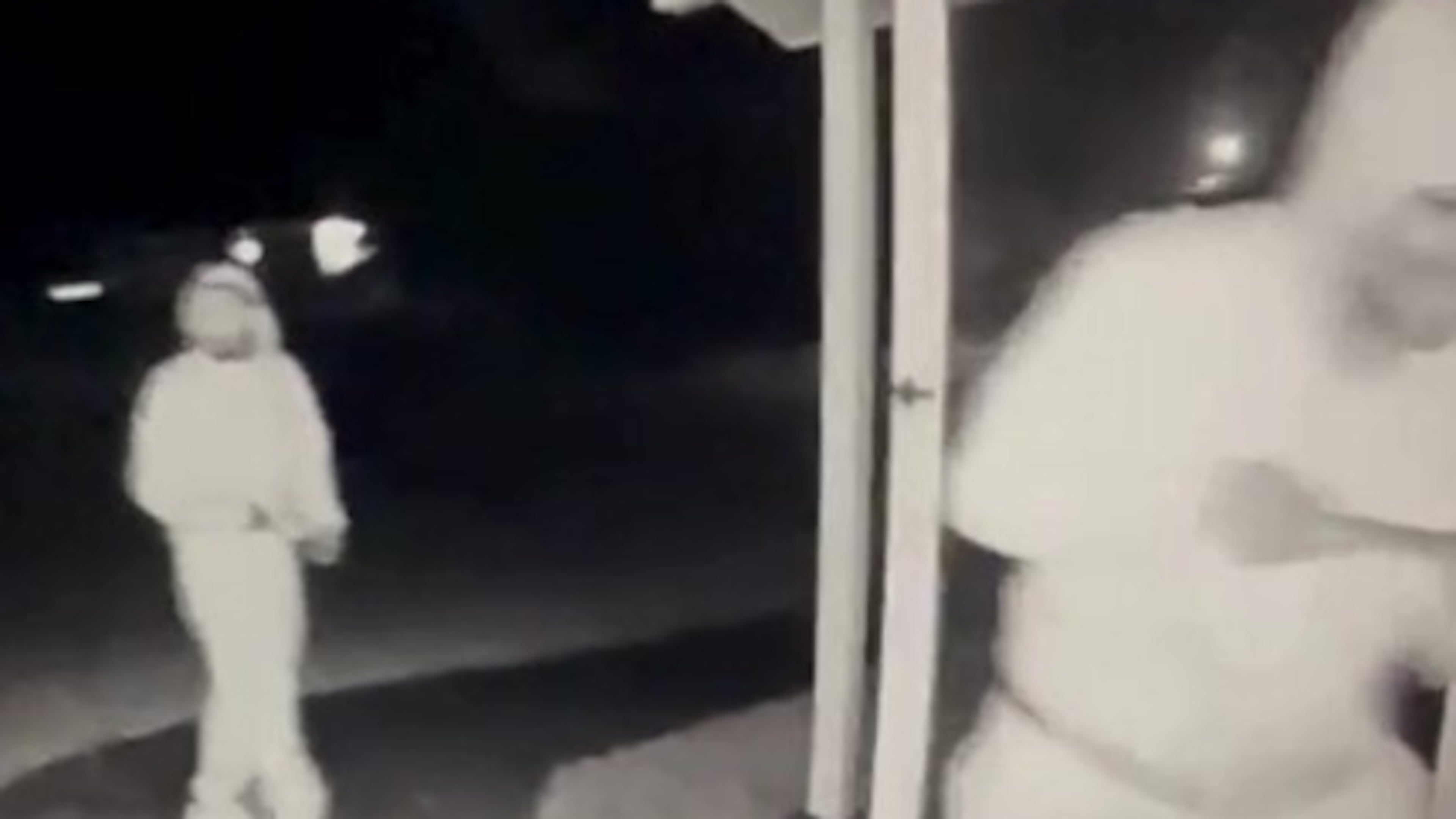A DeKalb County home's camera captured burglars Saturday night before a woman arrived home and was killed, according to police.