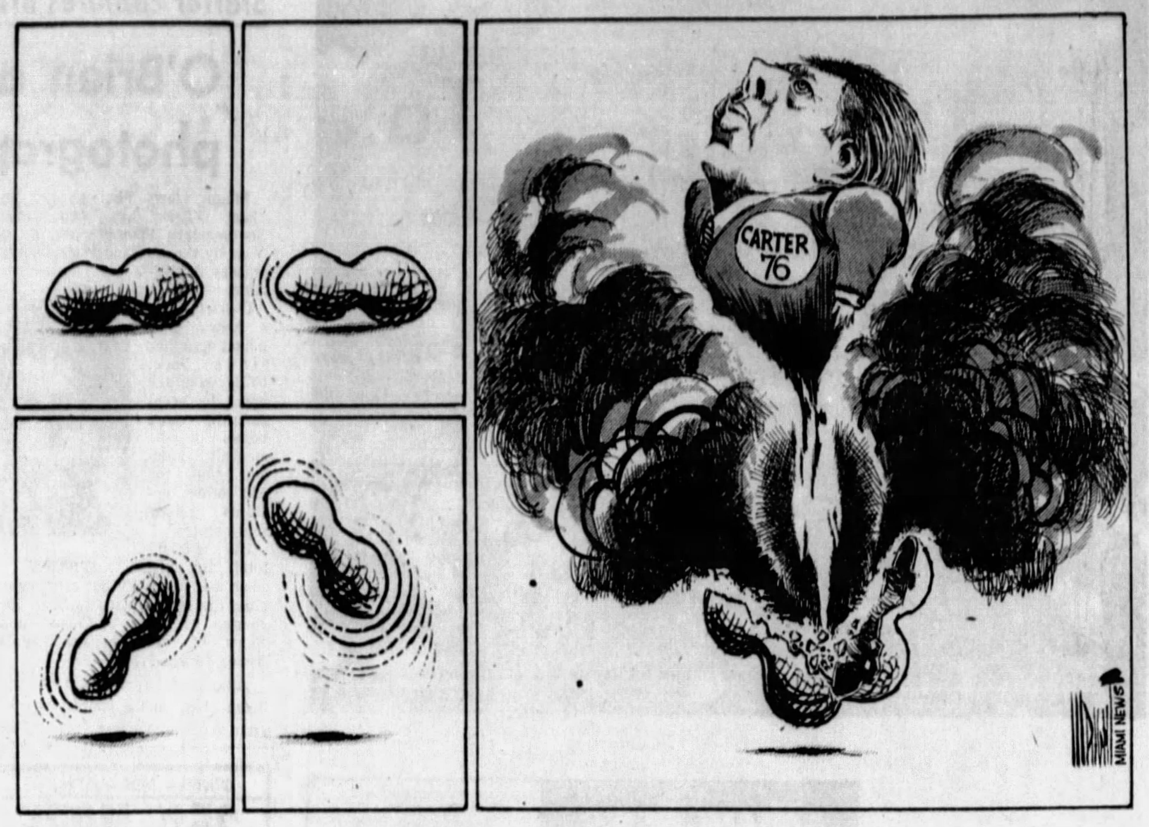 Jimmy Carter cartoons by Don Wright in Miami News. Jan. 22, 1976. Reprinted with permission.