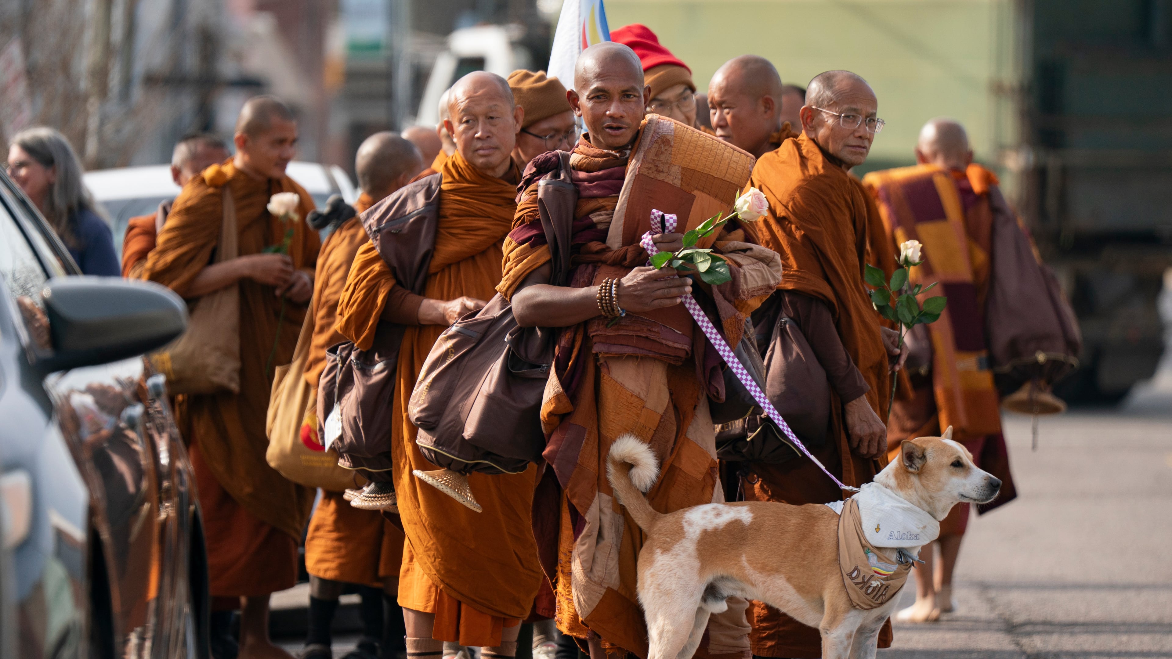Buddhist monks who are participating in the, "Walk For Peace," are seen with their dog, Aloka, Thursday, Jan. 8, 2026, in Saluda, S.C. (AP Photo/Allison Joyce)