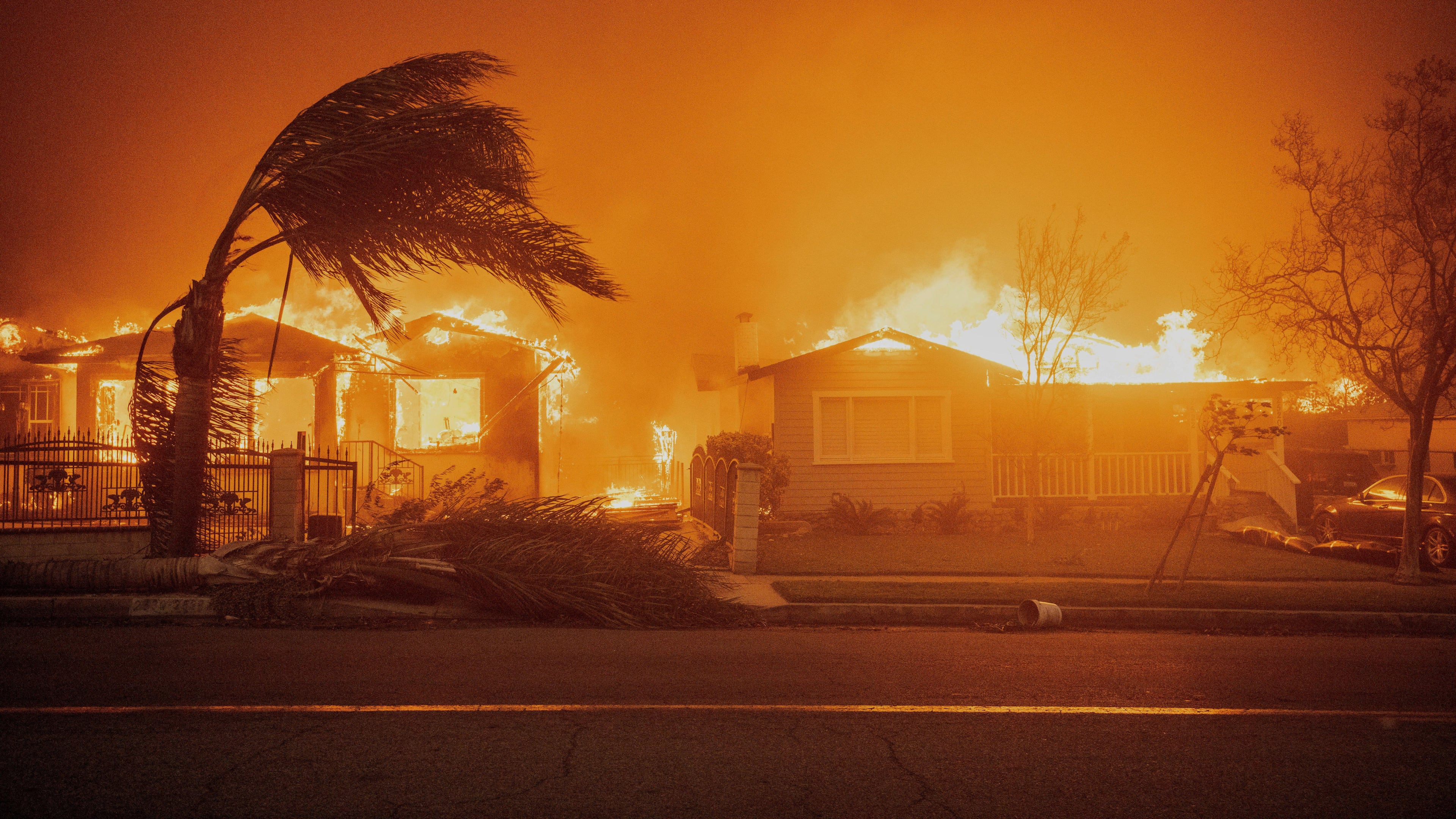 FILE - Trees sway in high winds as the Eaton Fire burns structures Jan. 8, 2025 in Altadena, Calif. (AP Photo/Ethan Swope, File)