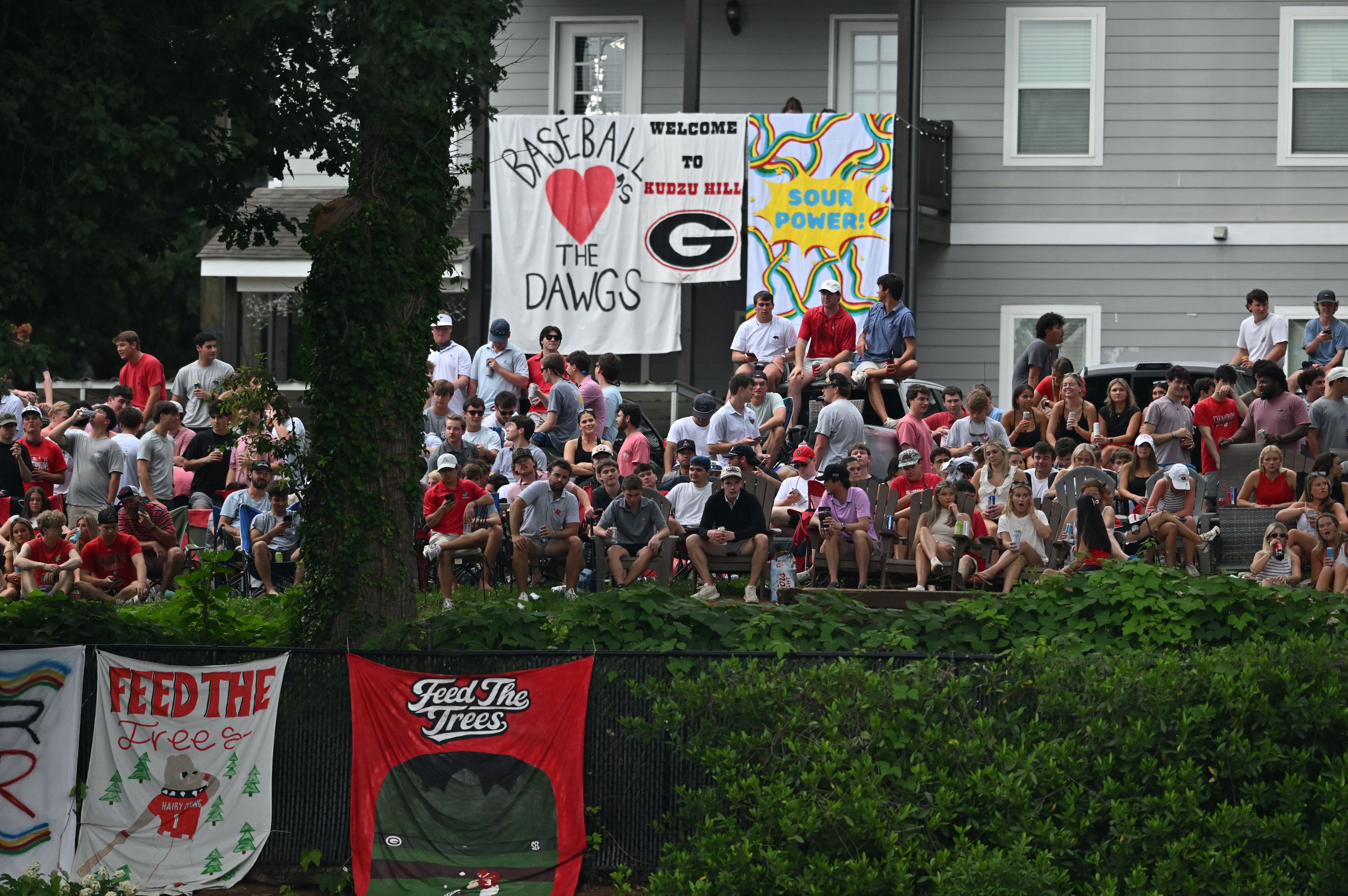UGA baseballl vs. Long Island