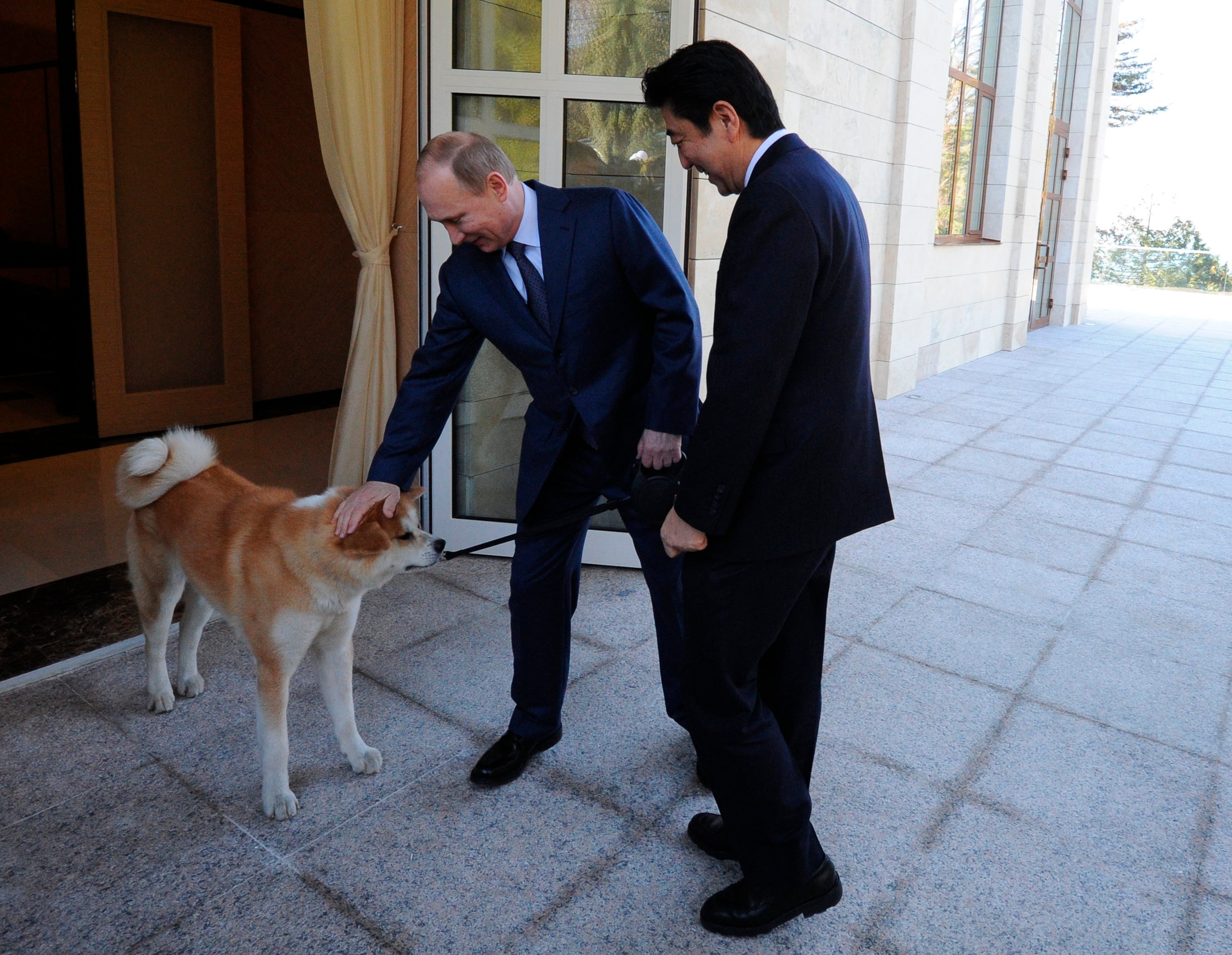 Russian President Vladimir Putin pats his dog Yume, an Akita-Inu, as Japanese Prime Minister Shinzo Abe looks on during a meeting in the Bocharov Ruchei residence in Sochi, Russia, Saturday, Feb. 8, 2014. (AP Photo/RIA-Novosti, Mikhail Klimentyev, Presidential Press Service)