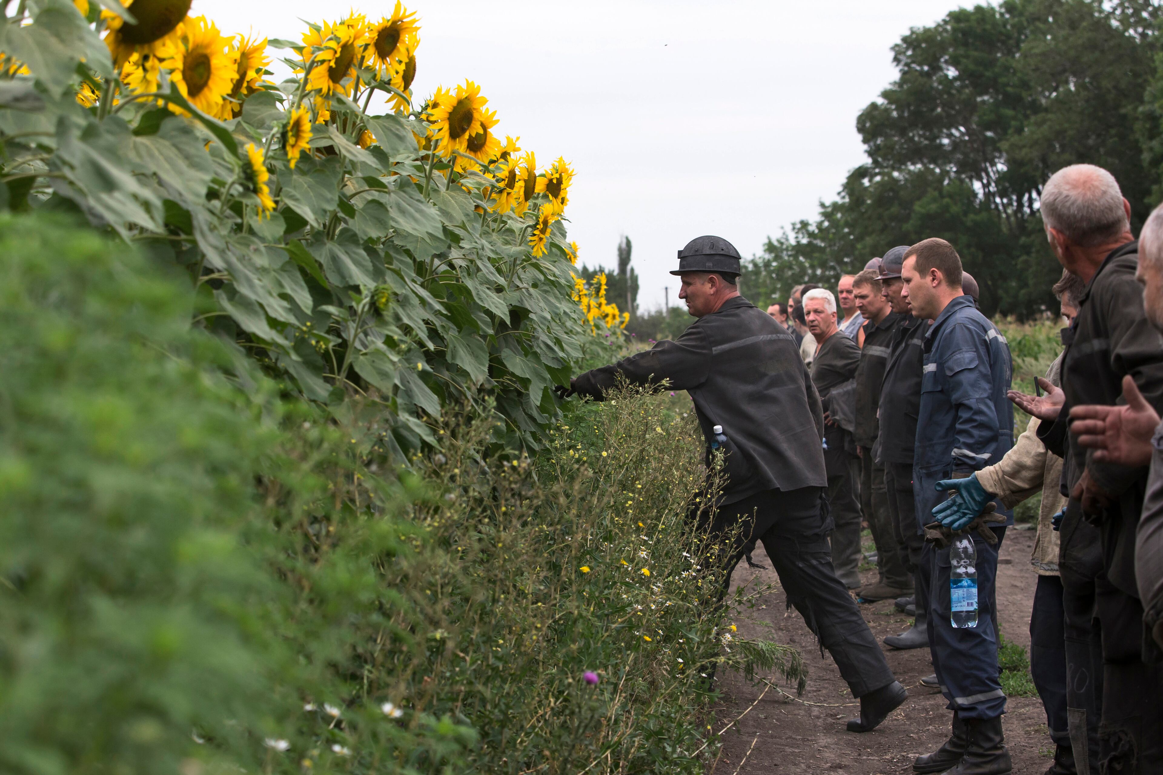 Ukrainian coal miners prepare to search the site of a crashed Malaysia Airlines passenger plane near the village of Rozsypne, Ukraine, eastern Ukraine Friday, July 18, 2014. Rescue workers, policemen and even off-duty coal miners were combing a sprawling area in eastern Ukraine near the Russian border where the Malaysian plane ended up in burning pieces Thursday, killing all 298 aboard. (AP Photo/Dmitry Lovetsky)