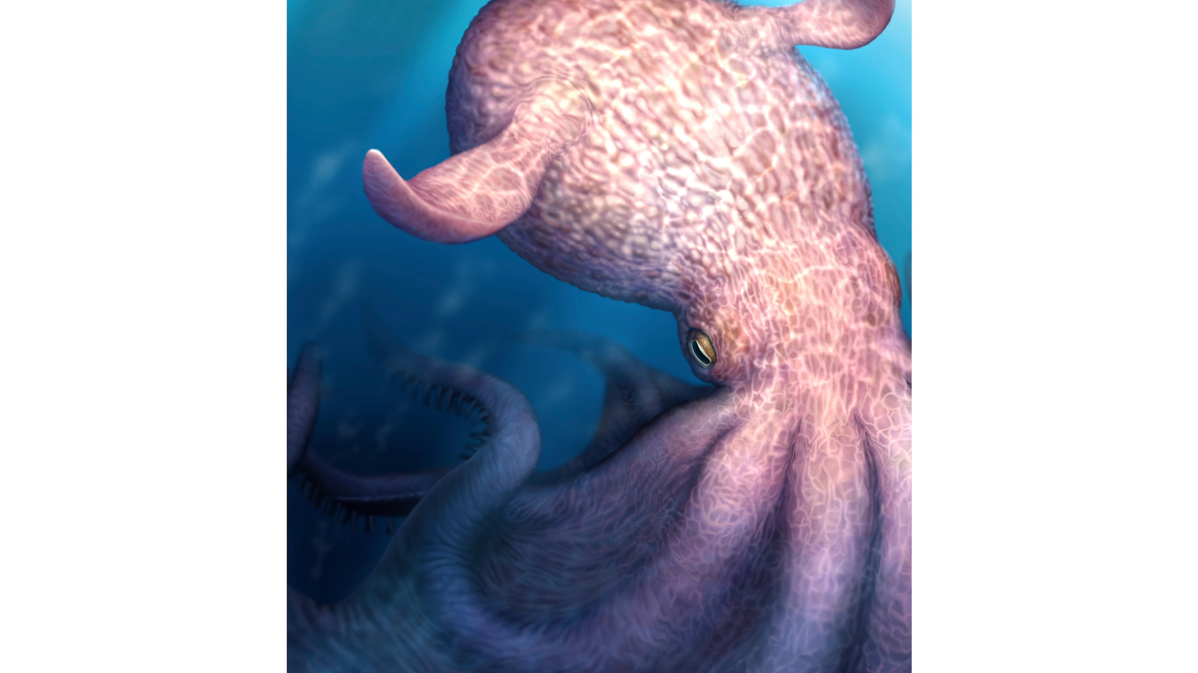 This illustration provided by researchers in April 2026 depicts a giant octopus that may have been a top marine predator millions of years ago. (Yohei Utsuki via AP)