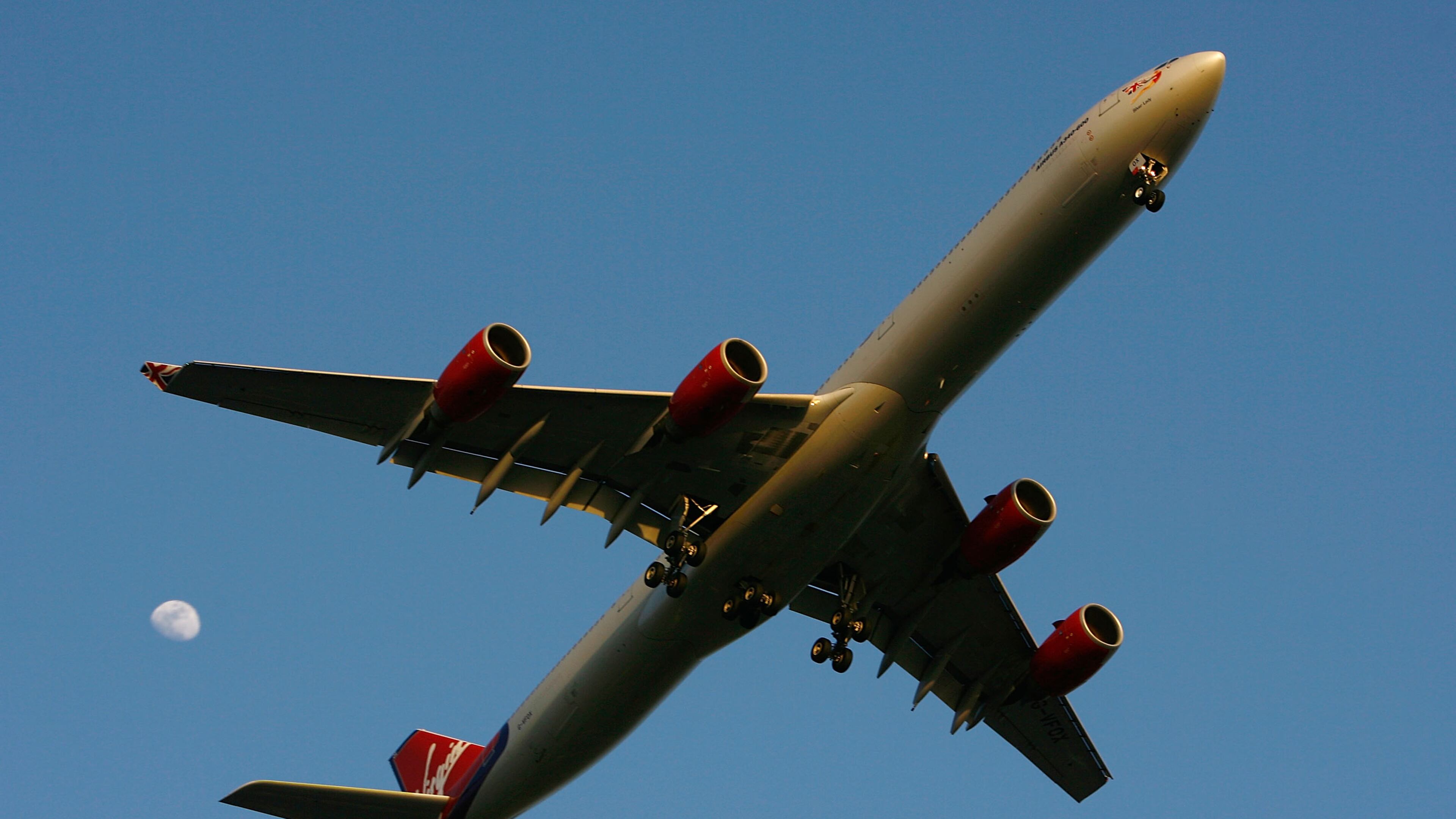 (Photo by David McNew/Getty Images)