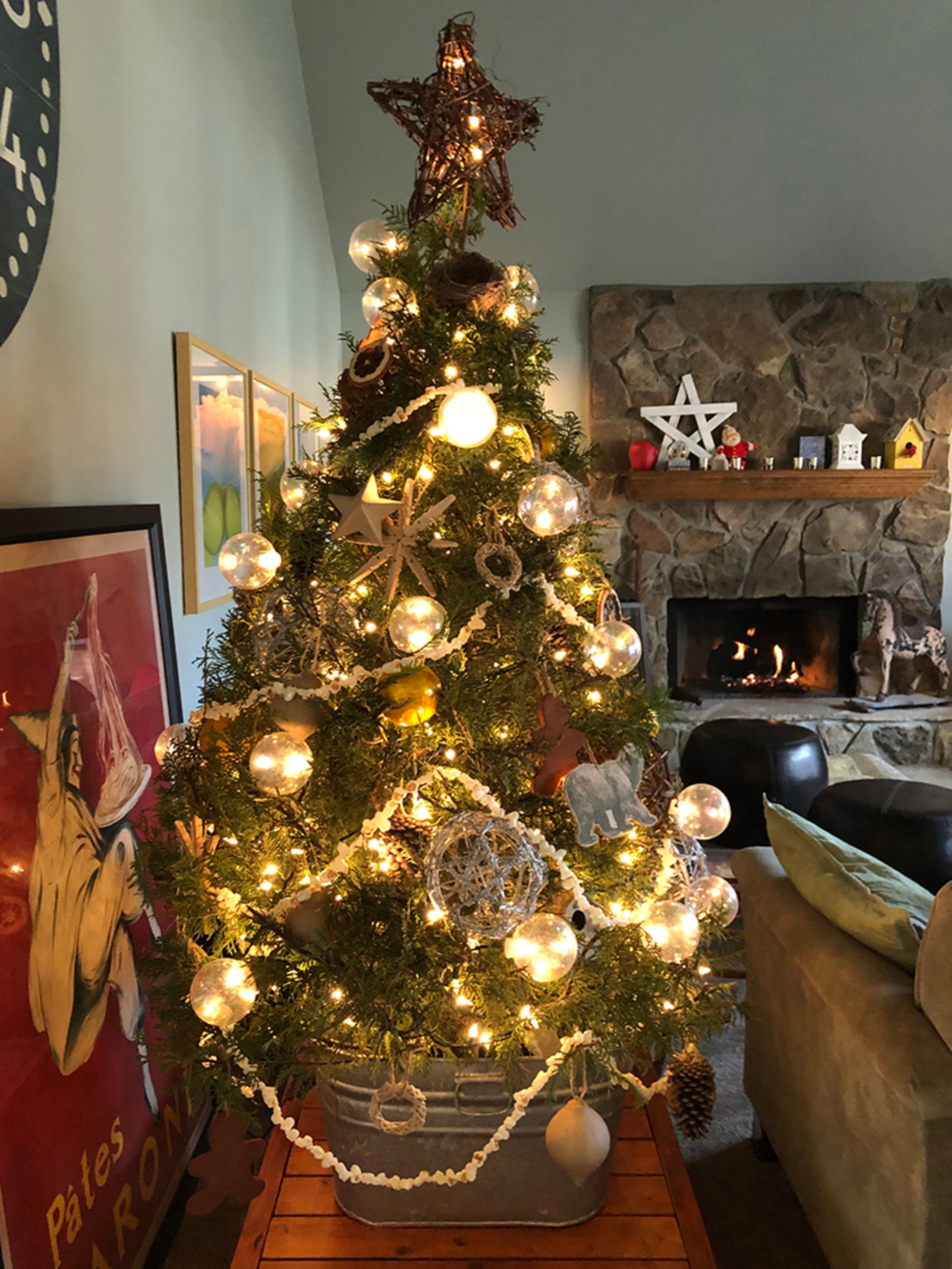 John Smith and his family cut their tree from own Christmas tree farm in Fayetteville. The name of the farm is Smith’s Choose and Cut Christmas Trees. "The theme is modern rustic, in keeping with the rest of the home’s décor. Ornaments are both homemade and store-bought, including vine balls, clothespin snowflakes, natural paper mache vegetables and birdhouses, gingerbread men and dried orange slices. The tree is also elevated on a unique platform dolly, which permits the tree to be wheeled into place once decorations are complete and exalts the tree for the holiday season."