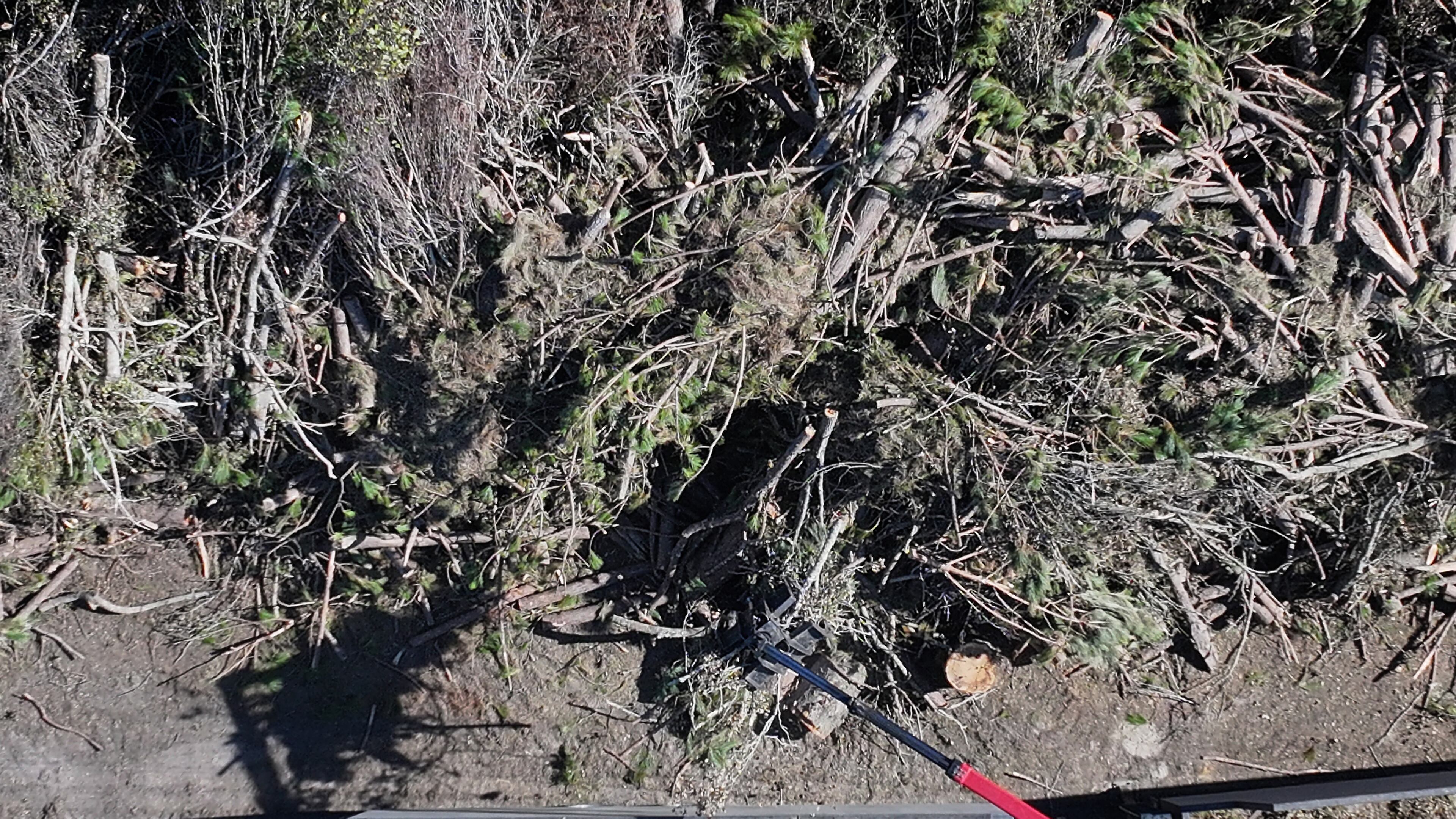 Workers with DebrisTech process debris in the aftermath of Hurricane Helene, Monday, October 21, 2024, in Hazelhurst. (Hyosub Shin / AJC)