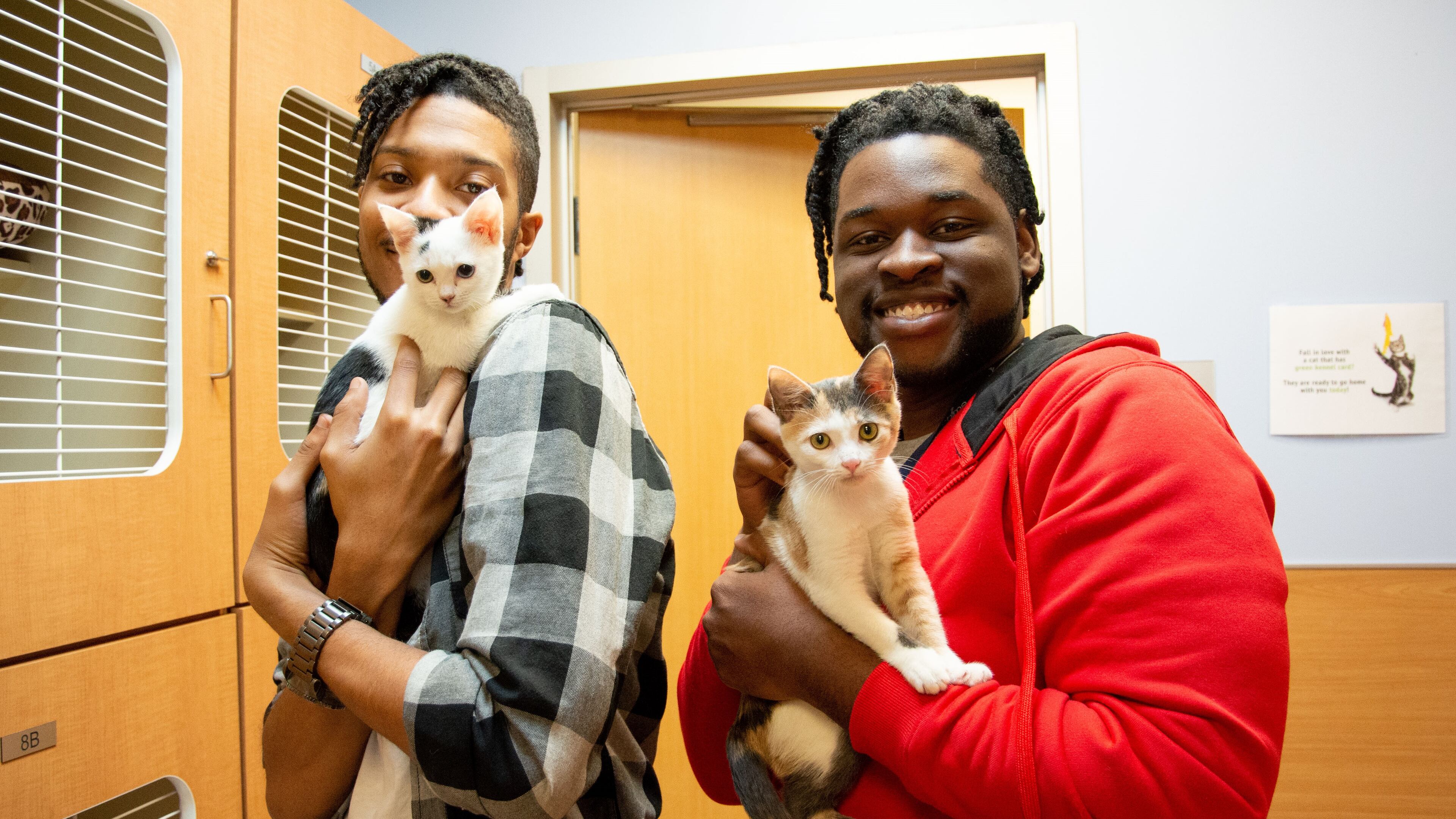 LifeLine thanked the public for adopting more than 470 pets during Black Friday weekend.