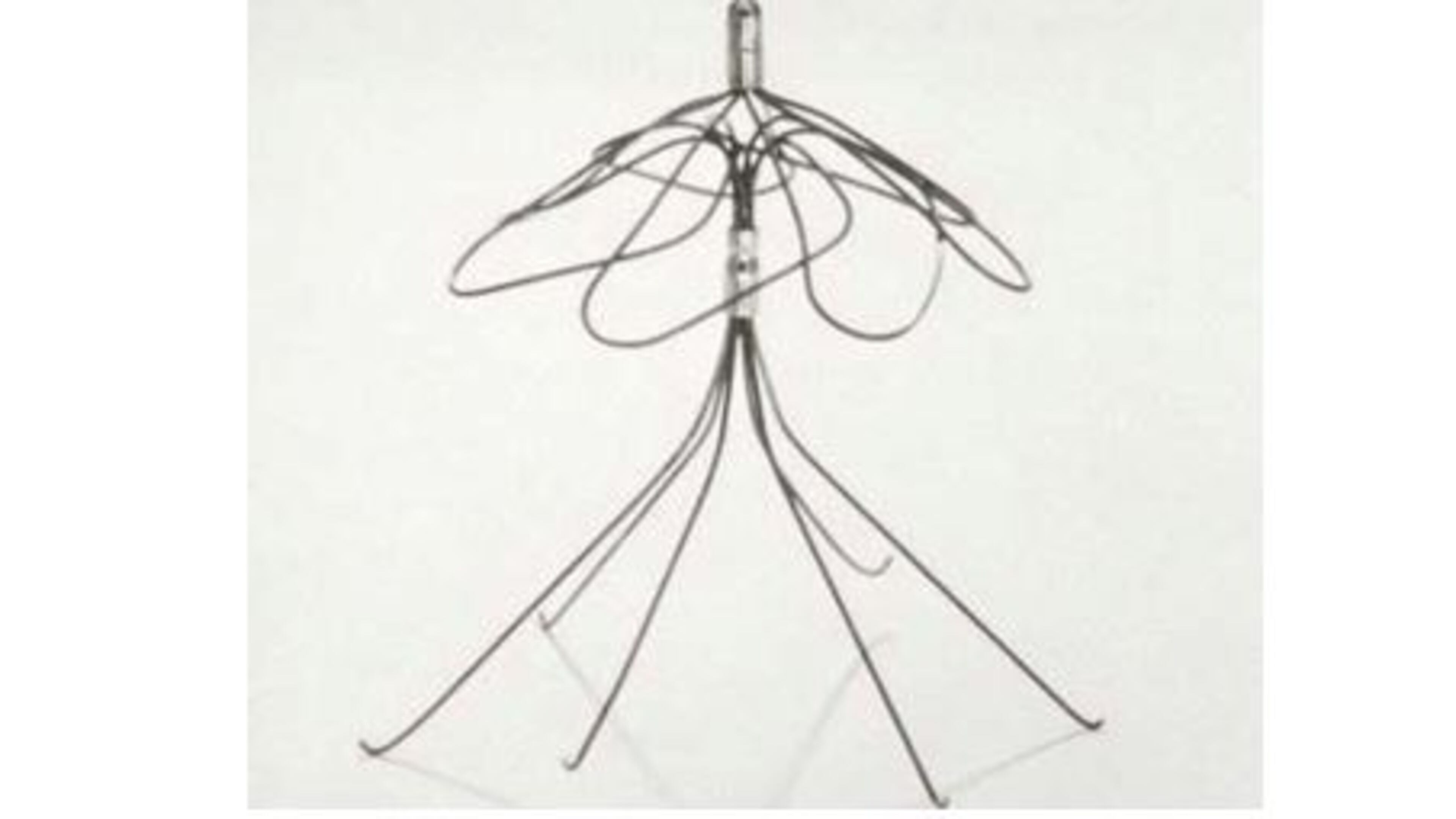 A Simon Nitinol filter. A company statement noted: “Any implantable medical device carries inherent risks, but also provides clinical benefits that outweigh those risks. We provide information about both the risks and benefits in order that physicians, in consultation with their patients, can determine whether those benefits outweigh the risks in a particular instance.”