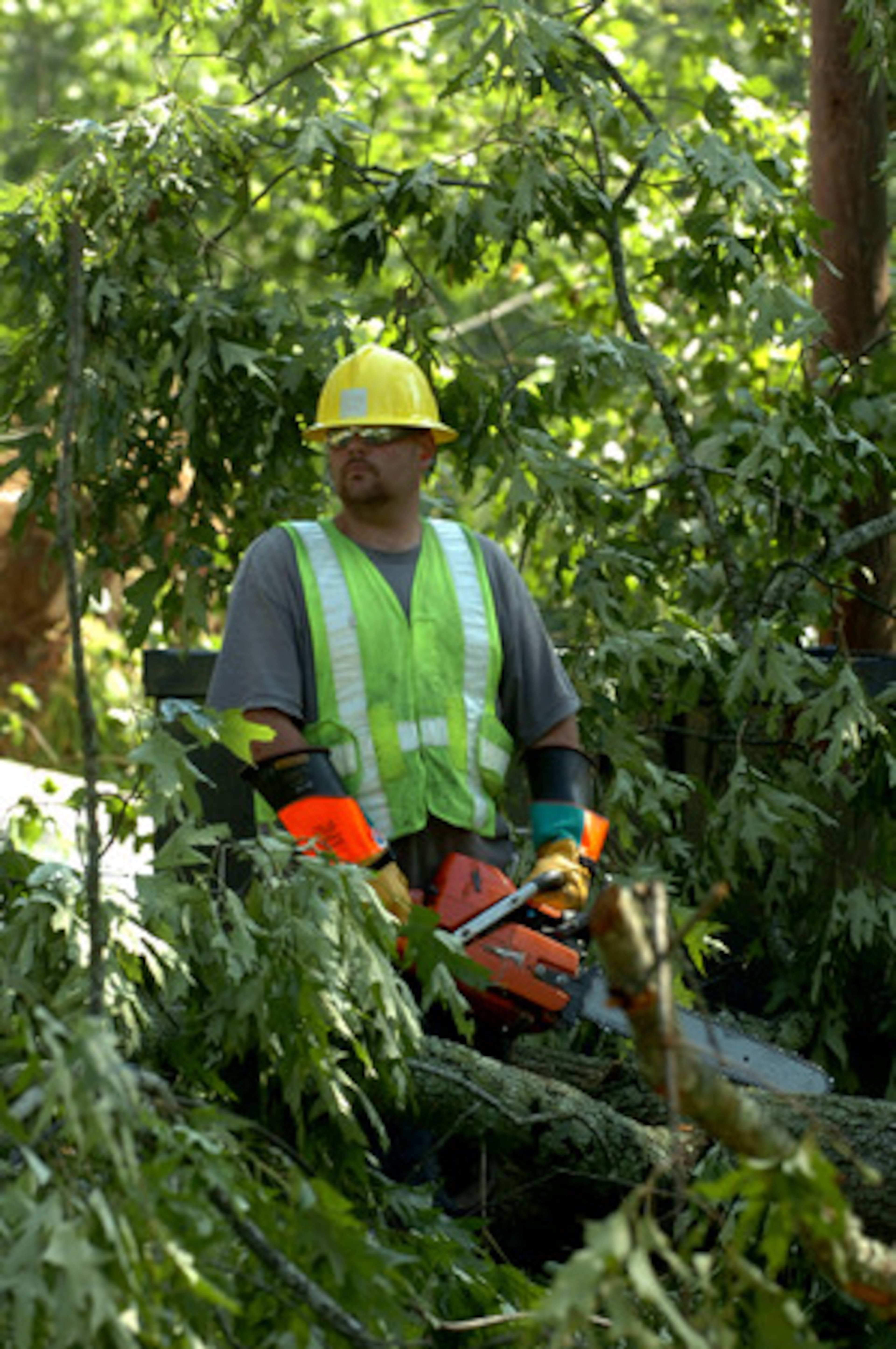 Cobb EMC forester Jamie Maddox prepares to use a chain saw to clear damage in Woodstock.