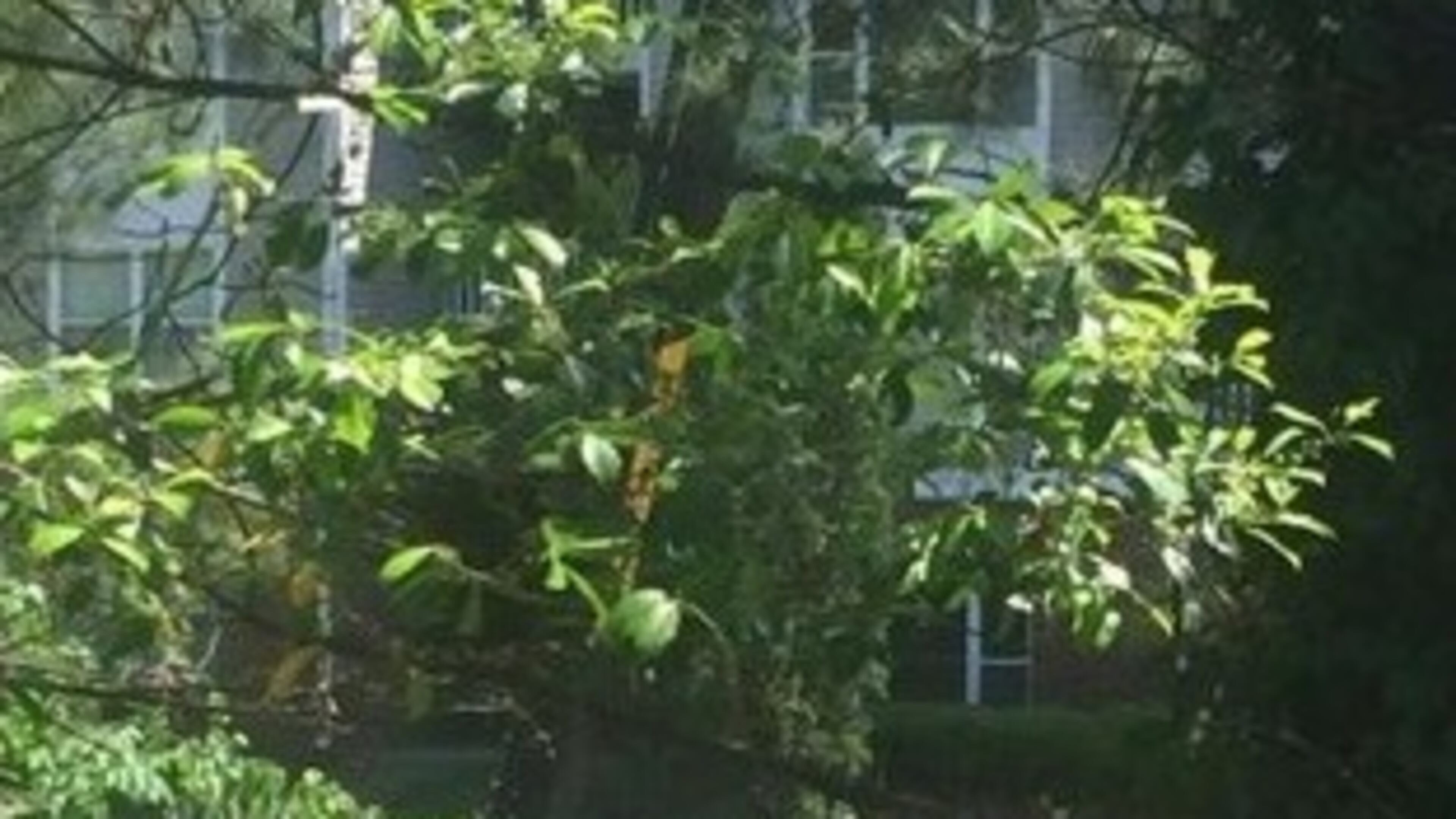 Derrick Douglas was in the bucket of a boom lift machine when it tipped over at a construction site at a Cobb County apartment complex. CHANNEL 2 ACTION NEWS