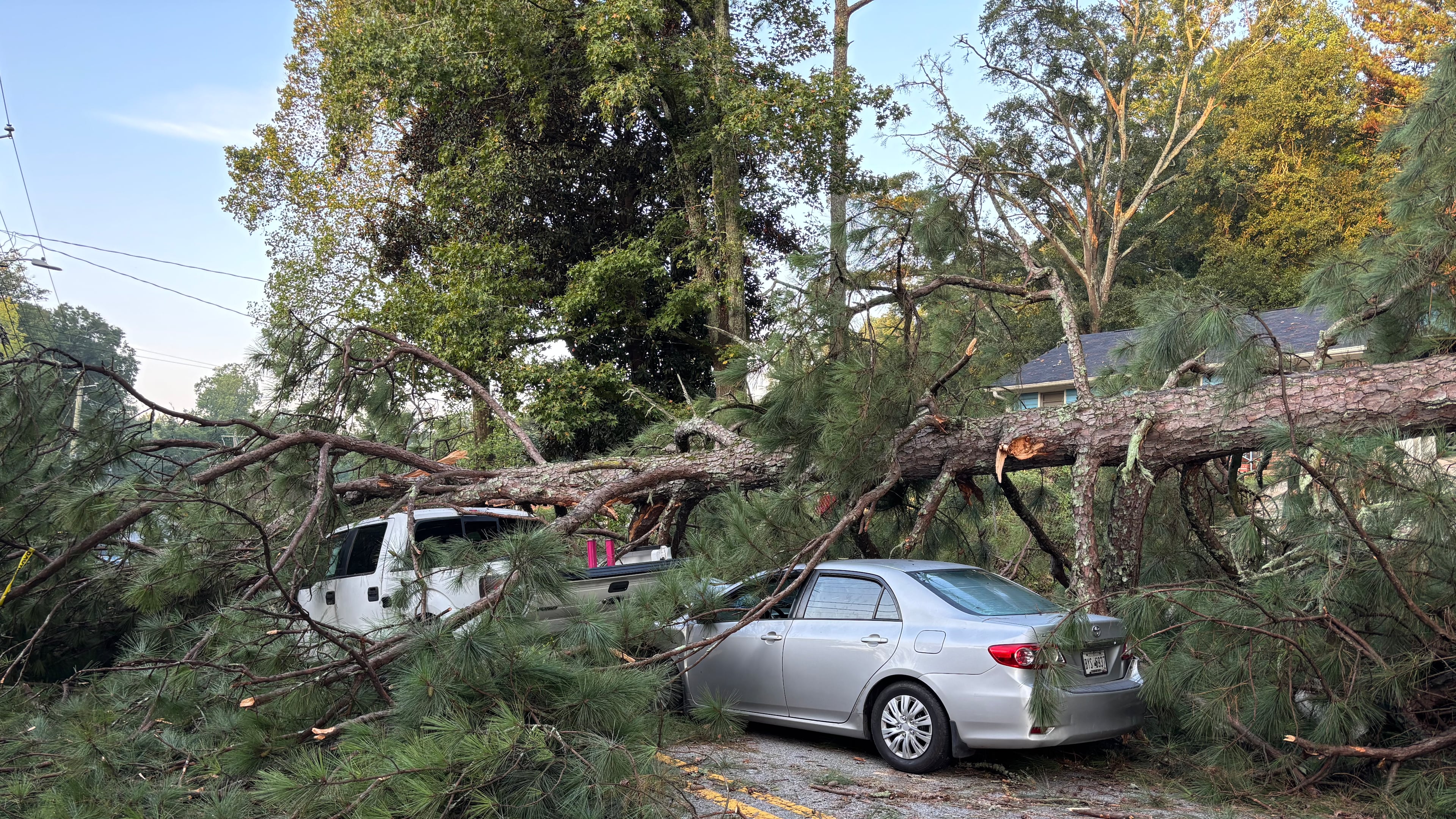 This fallen pine tree along Macon Drive in southeast Atlanta caused problems not only for Marquez Peete — that's his pickup truck under it — but also for other drivers and city departments. (Doug Turnbull for the AJC)