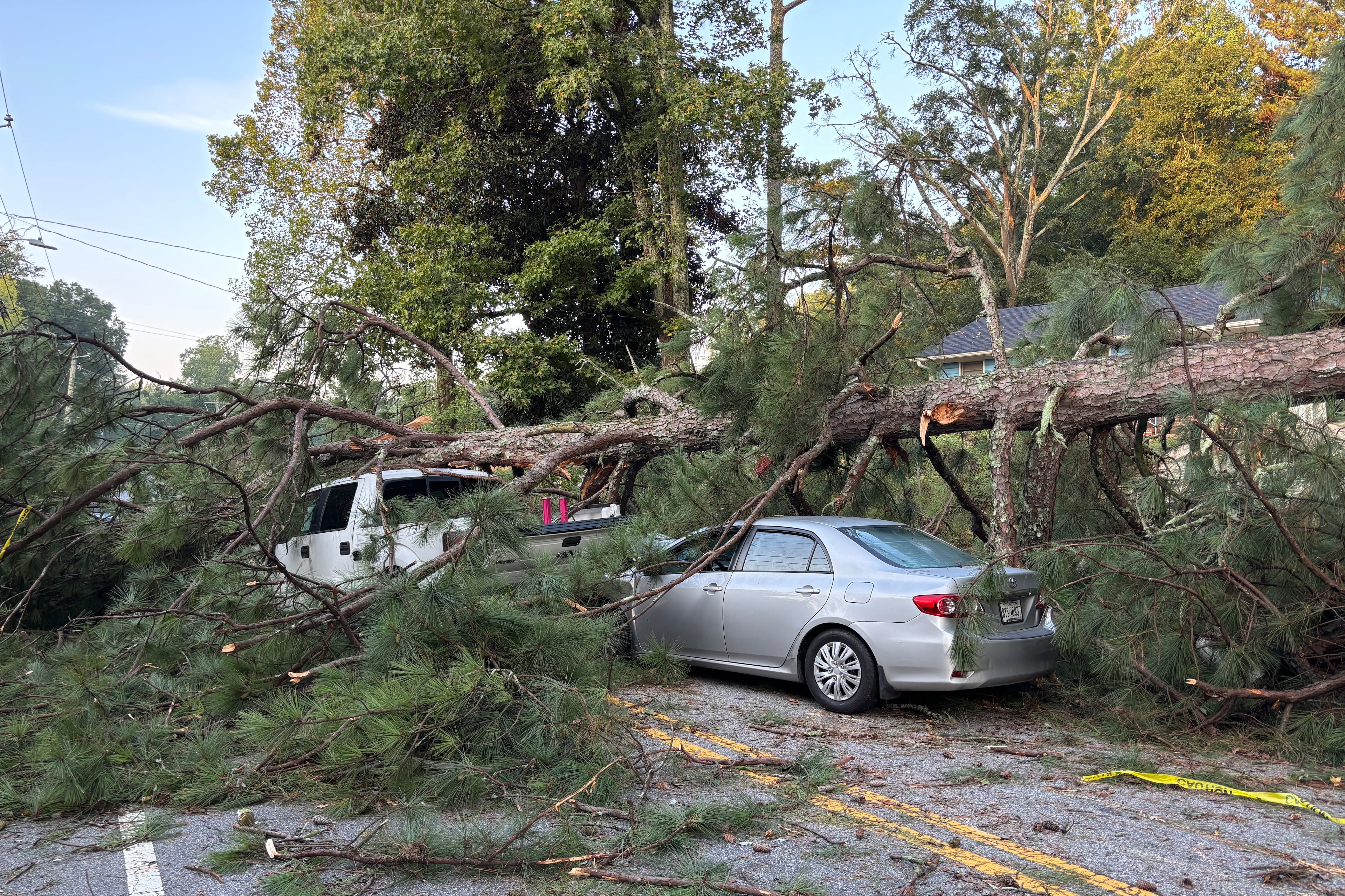This fallen pine tree along Macon Drive in southeast Atlanta caused problems not only for Marquez Peete — that's his pickup truck under it — but also for other drivers and city departments. (Doug Turnbull for the AJC)