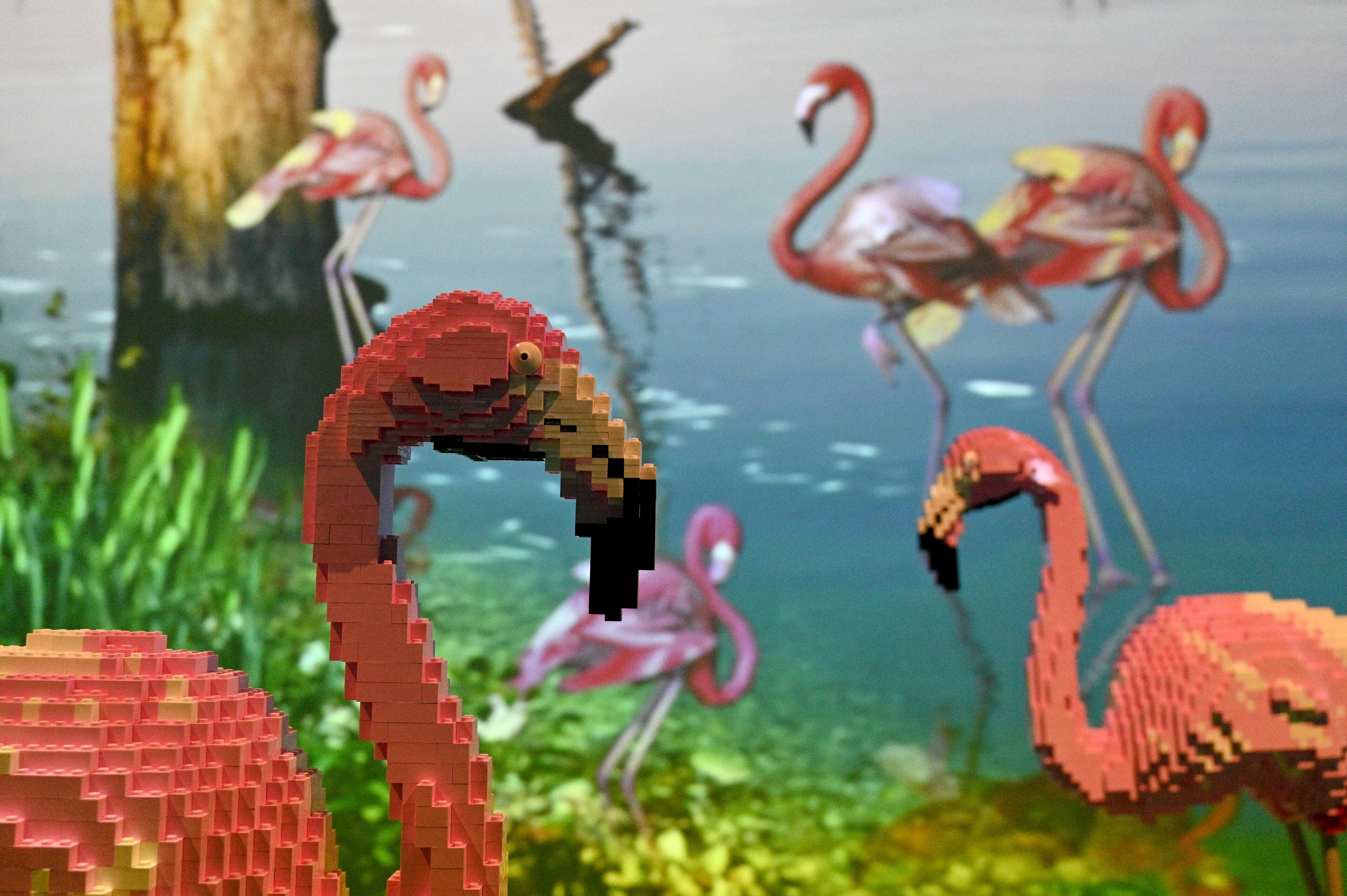 “Chilean Flamingo” made with 10,254 Lego bricks in “Perniciem” room at "Art of the Brick Immersive Experience" exhibition at Exhibition Hub Atlanta Art Centre, Wednesday, April 19, 2023, in Doraville. The exhibition will feature many pieces and themes, including a room with oversized sculptures (25-foot long), over 70 works of art crafted from more than 1 million LEGO bricks, galleries celebrating human-kind and nature, and a short documentary about how Nathan creates his works. (Hyosub Shin / Hyosub.Shin@ajc.com)