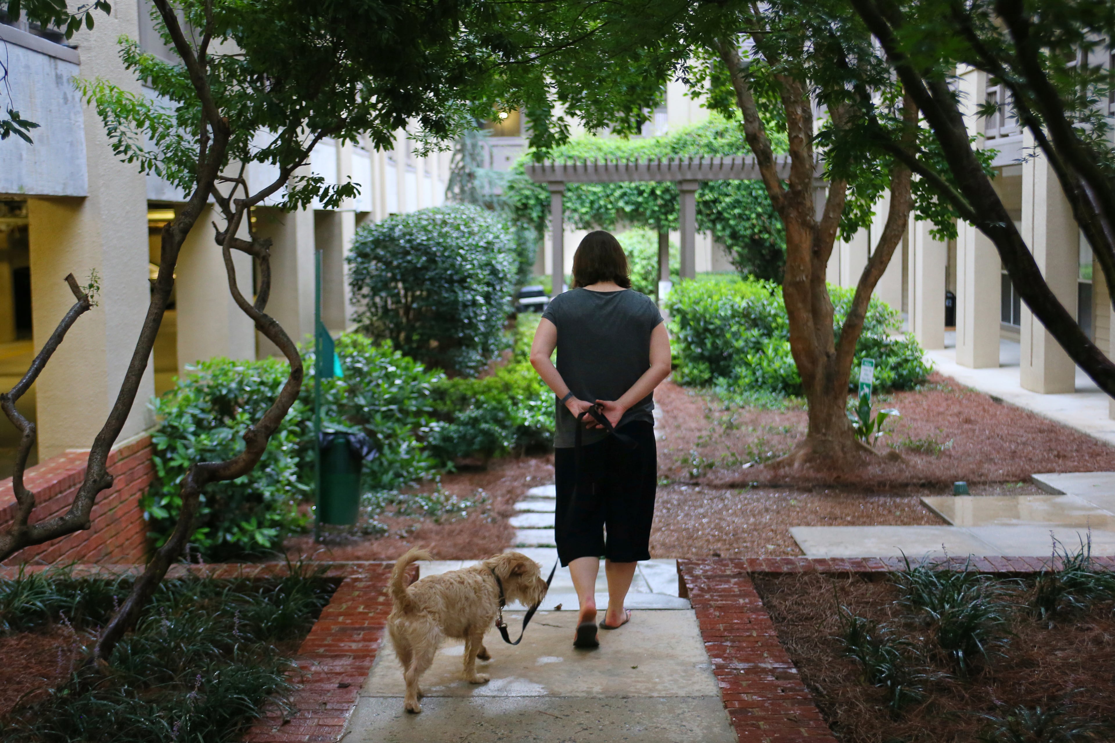 Misty walks "Wally" twice each day - a routine Jason and Wally used to enjoy together before the accident. CURTIS COMPTON / CCOMPTON@AJC.COM
