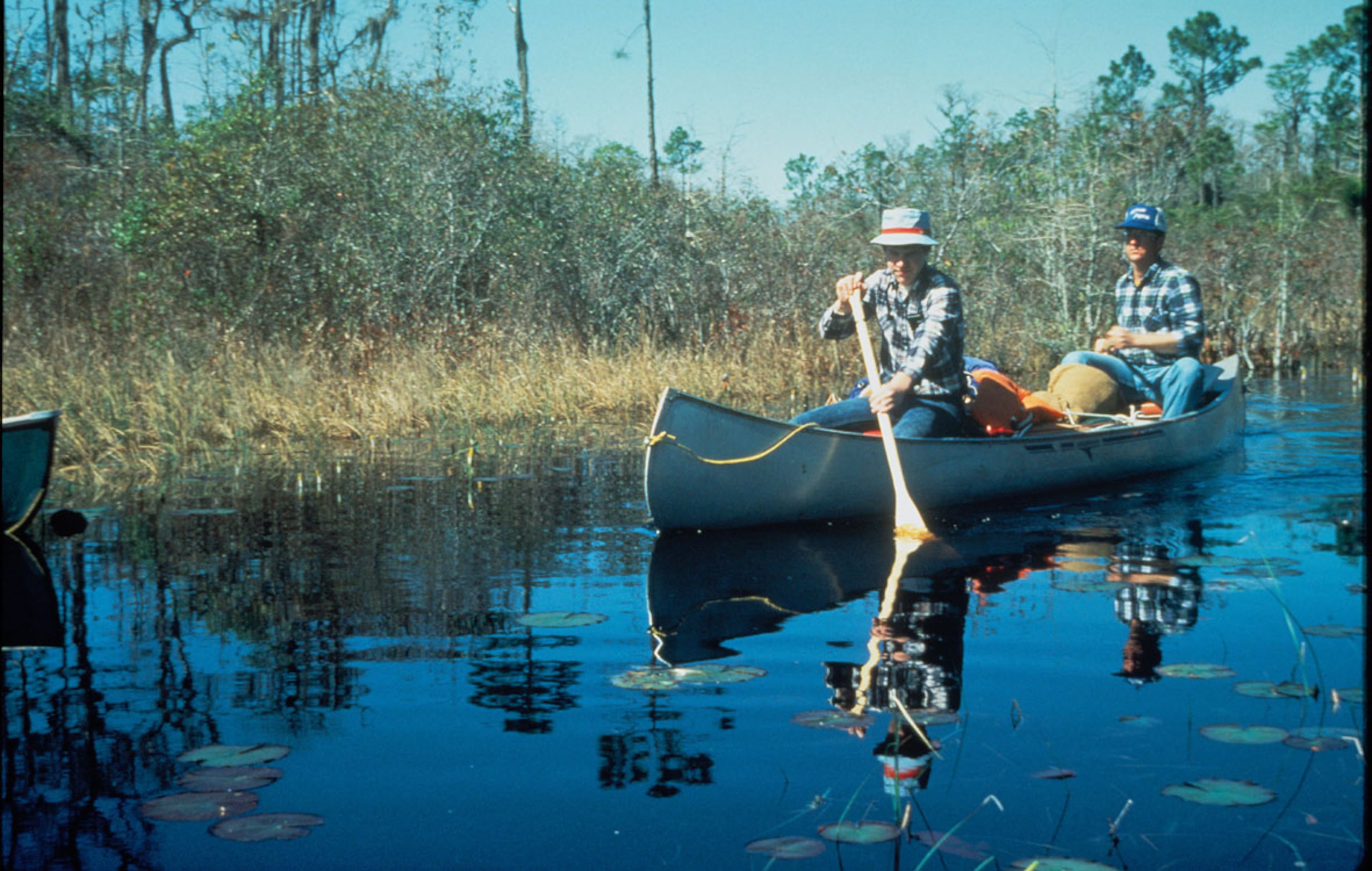 The best way to explore these wetlands is in a canoe, kayak or low-powered motorboat.