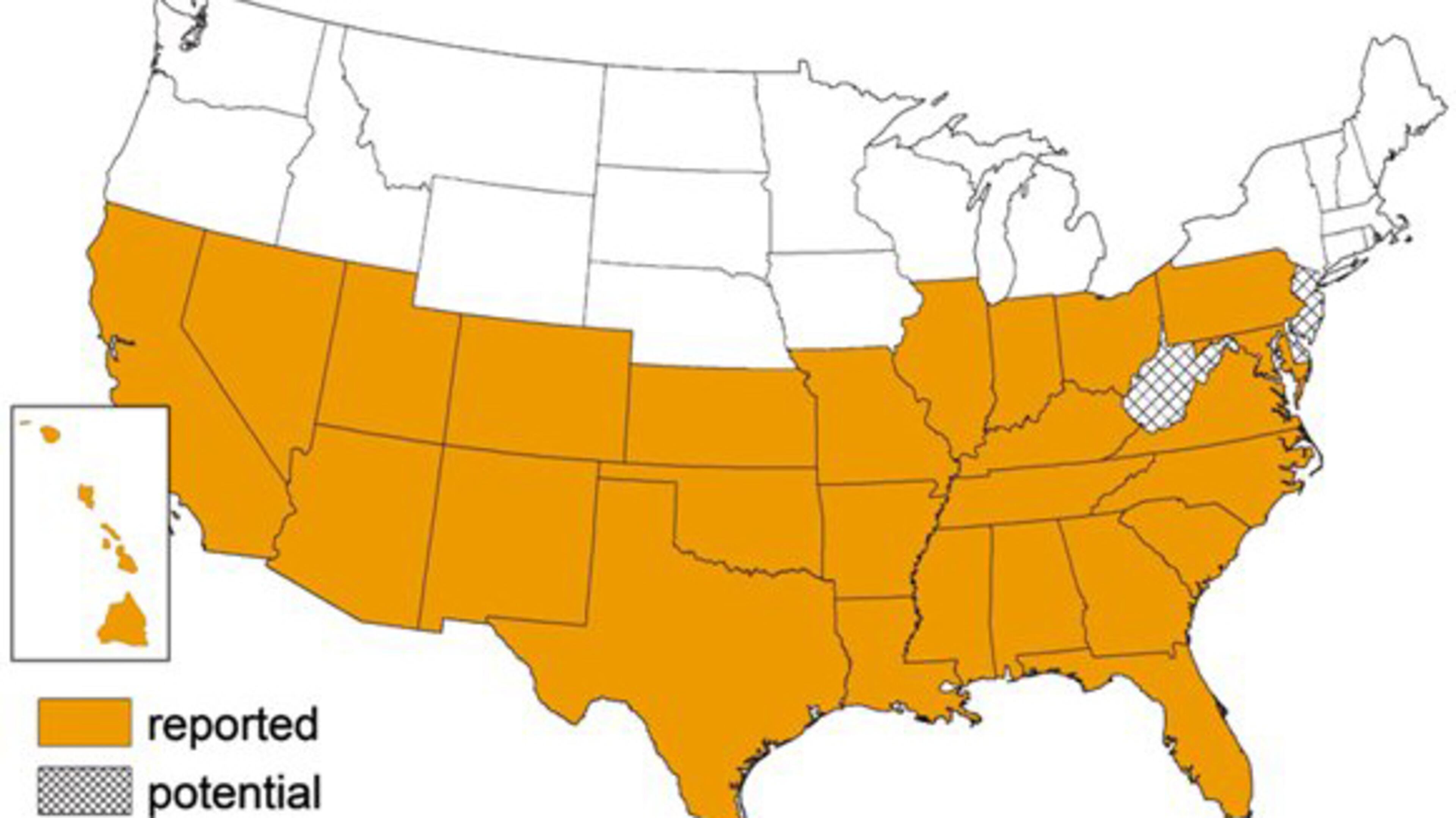 Triatomine bug reports per state.