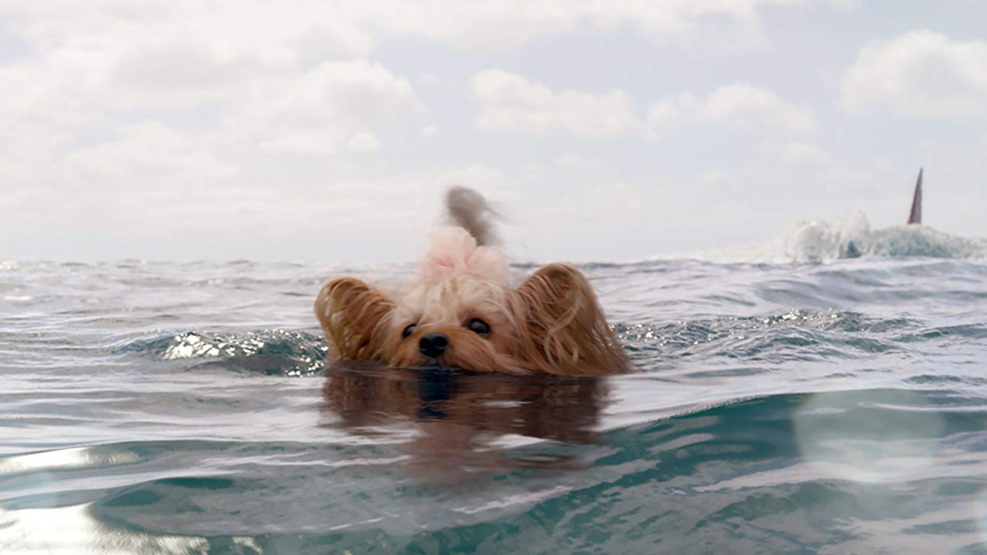 A scene from “The Meg.” Contributed by Warner Bros. Pictures