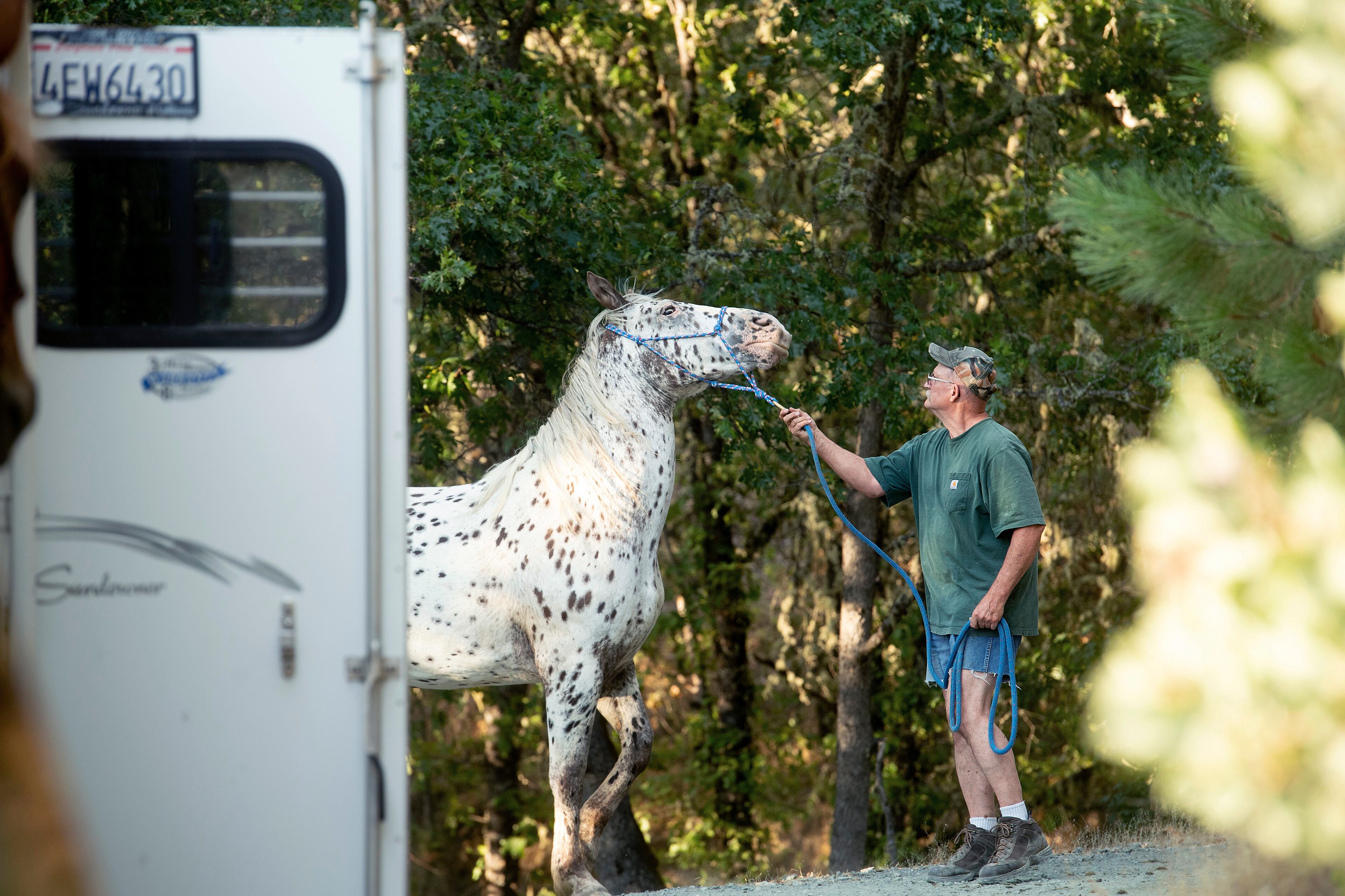 Rich Newell tries to get his horse "Ike" into a trailer while evacuating from Lewiston, Calif., as the Carr Fire approaches on Saturday, July 28, 2018. Thousands of residents remain evacuated as the blaze, which has killed at least five people, threatens homes in Redding and surrounding communities. (AP Photo/Noah Berger)