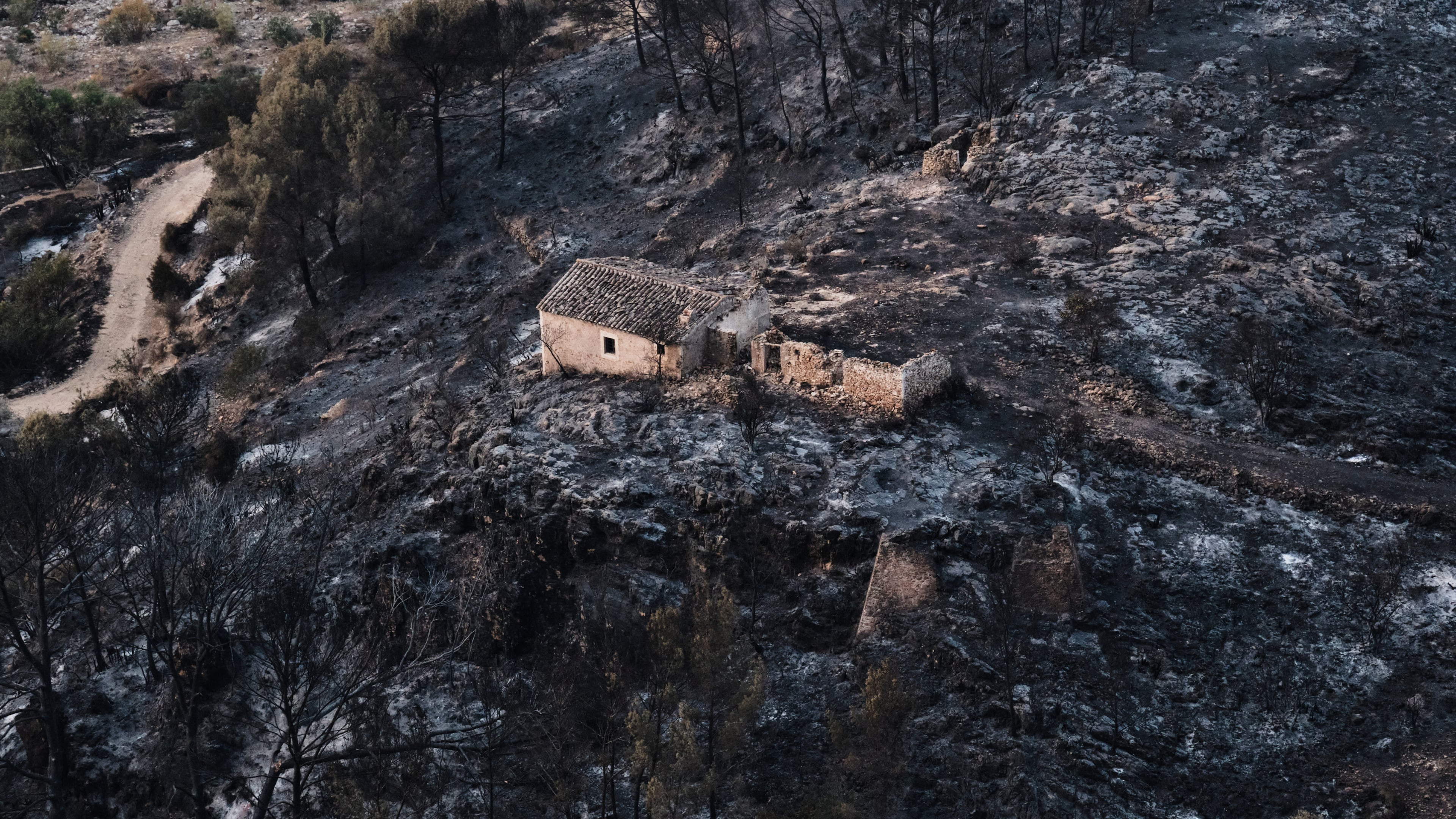 A view of a burnt area affected by wildfires in Bedar, near Almeria, Spain, Saturday, July 11, 2026. (AP Photo/Gregorio Marrero)