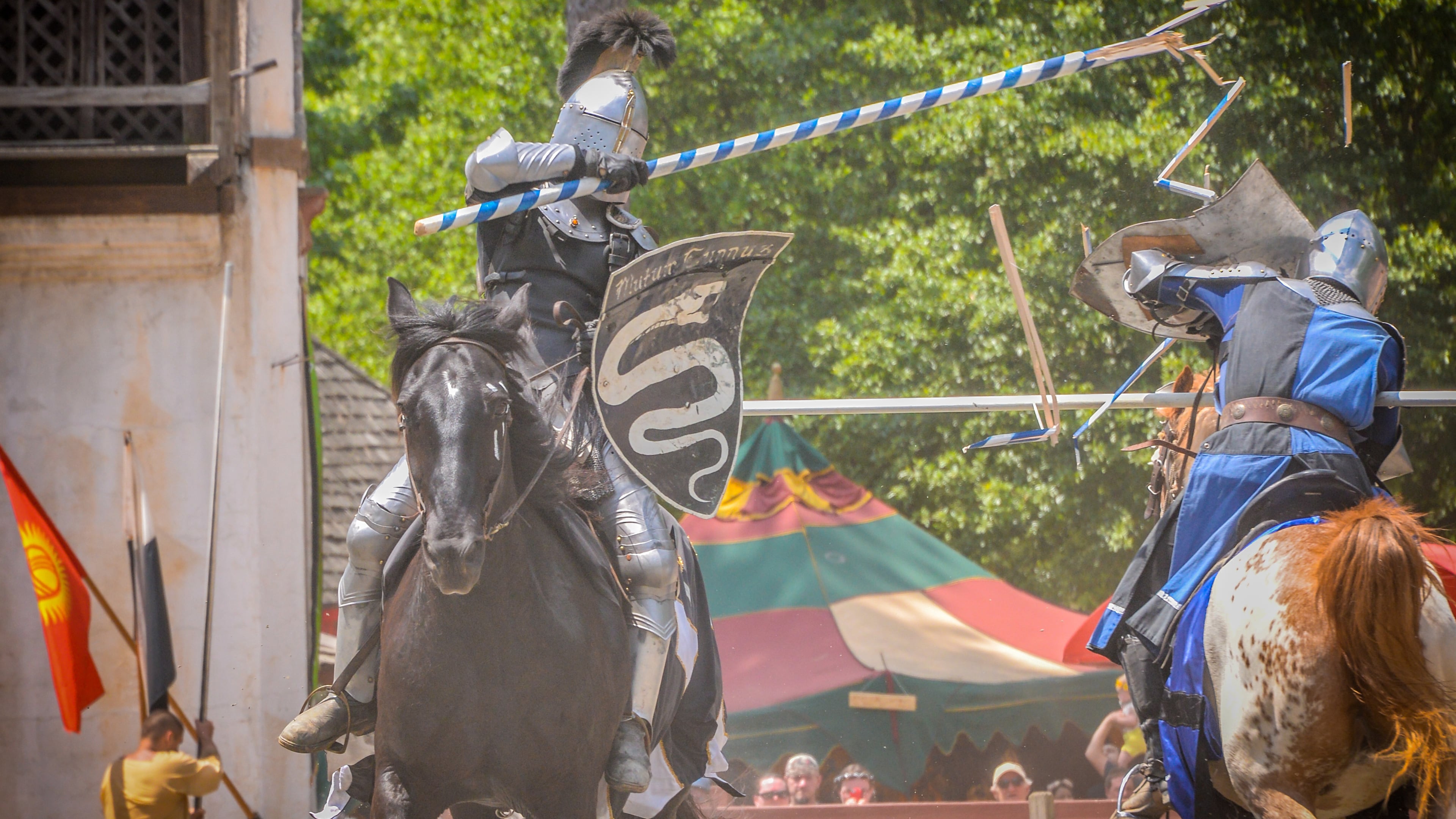 Georgia Renaissance Festival