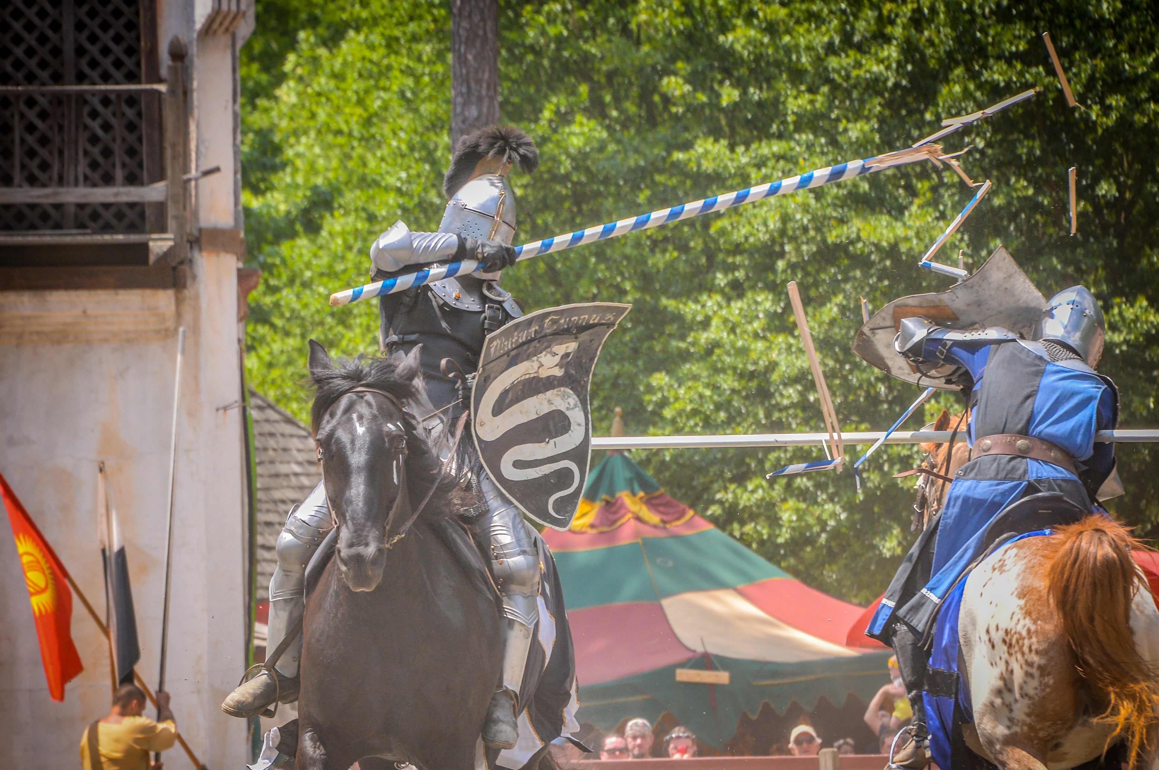 Georgia Renaissance Festival