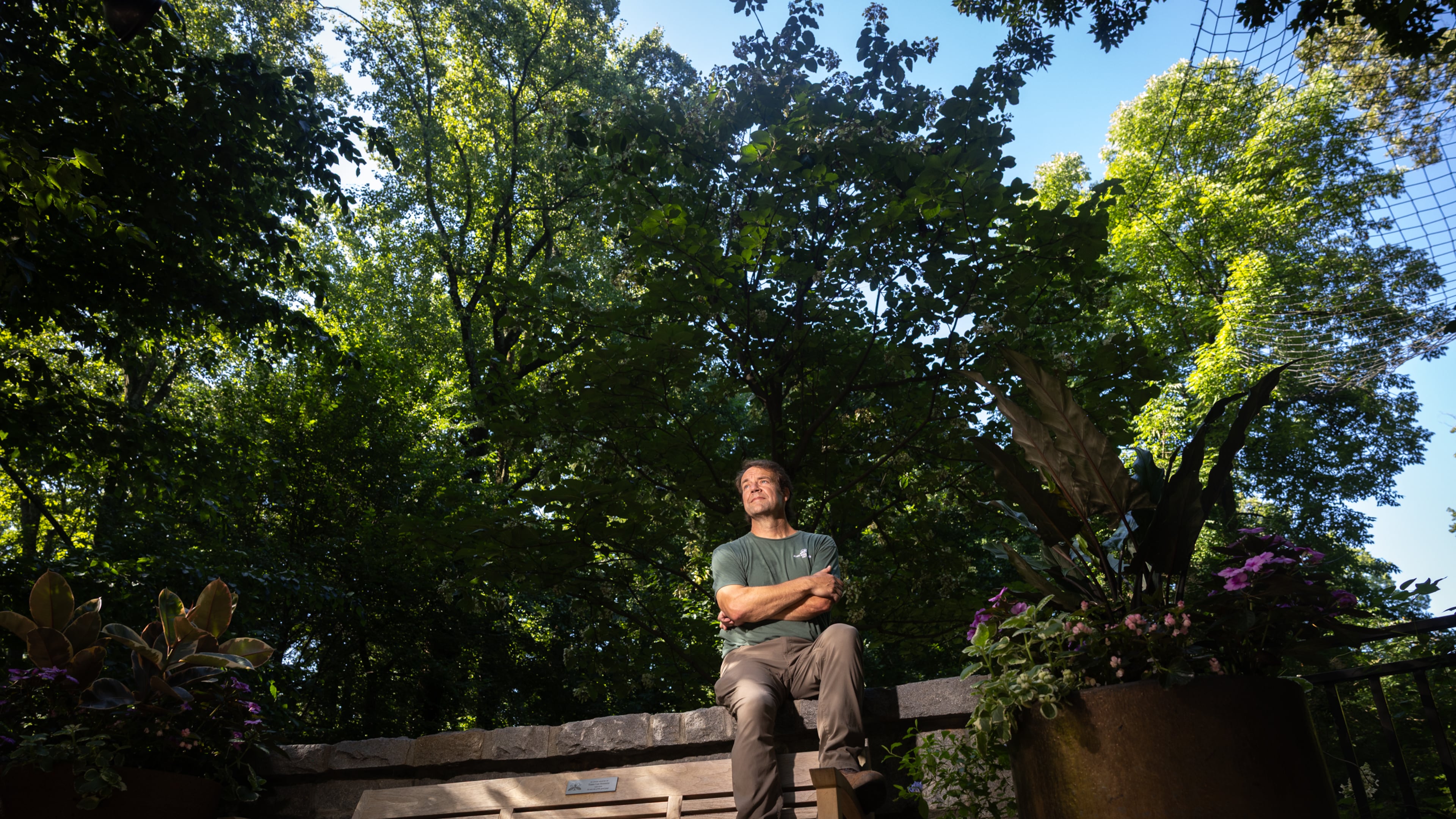 Scott McMahan, vice president of horticulture and collections, sits in front of a rare Chinese emmenopterys henryi tree at Atlanta Botanical Garden. (Arvin Temkar/AJC)