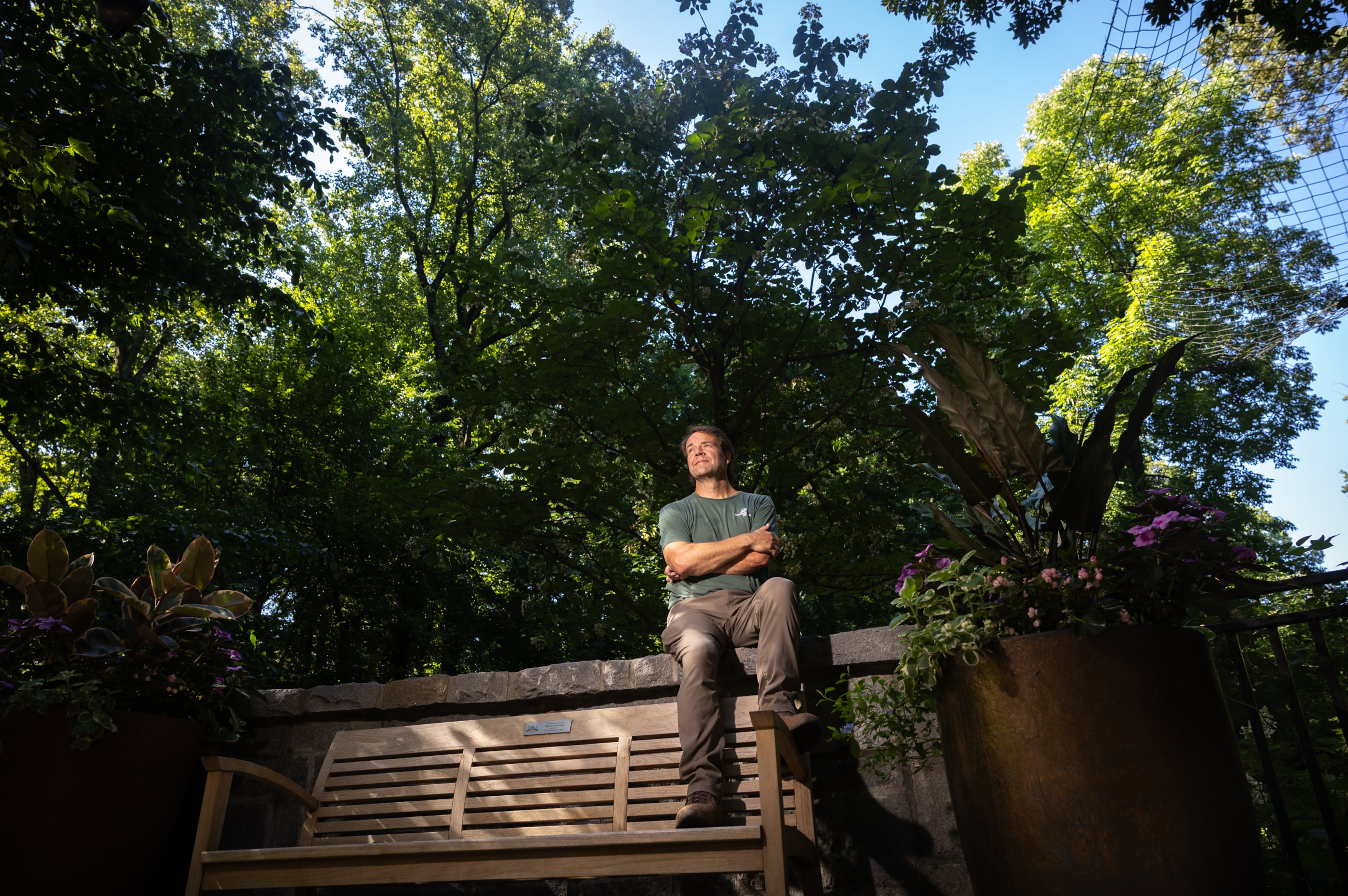 Exotic plant hunters