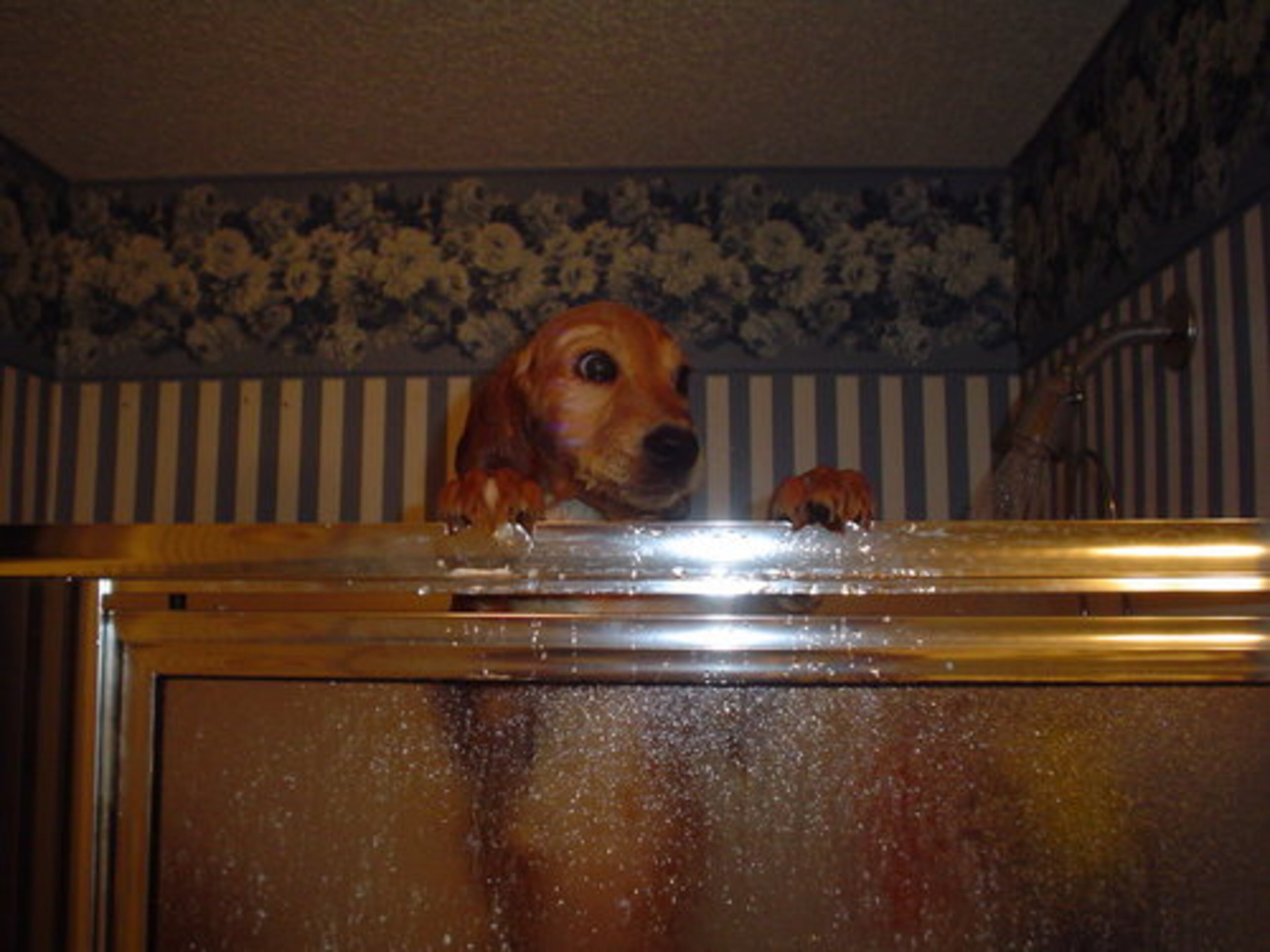 Help! Cold water! Is someone running the dishwasher?