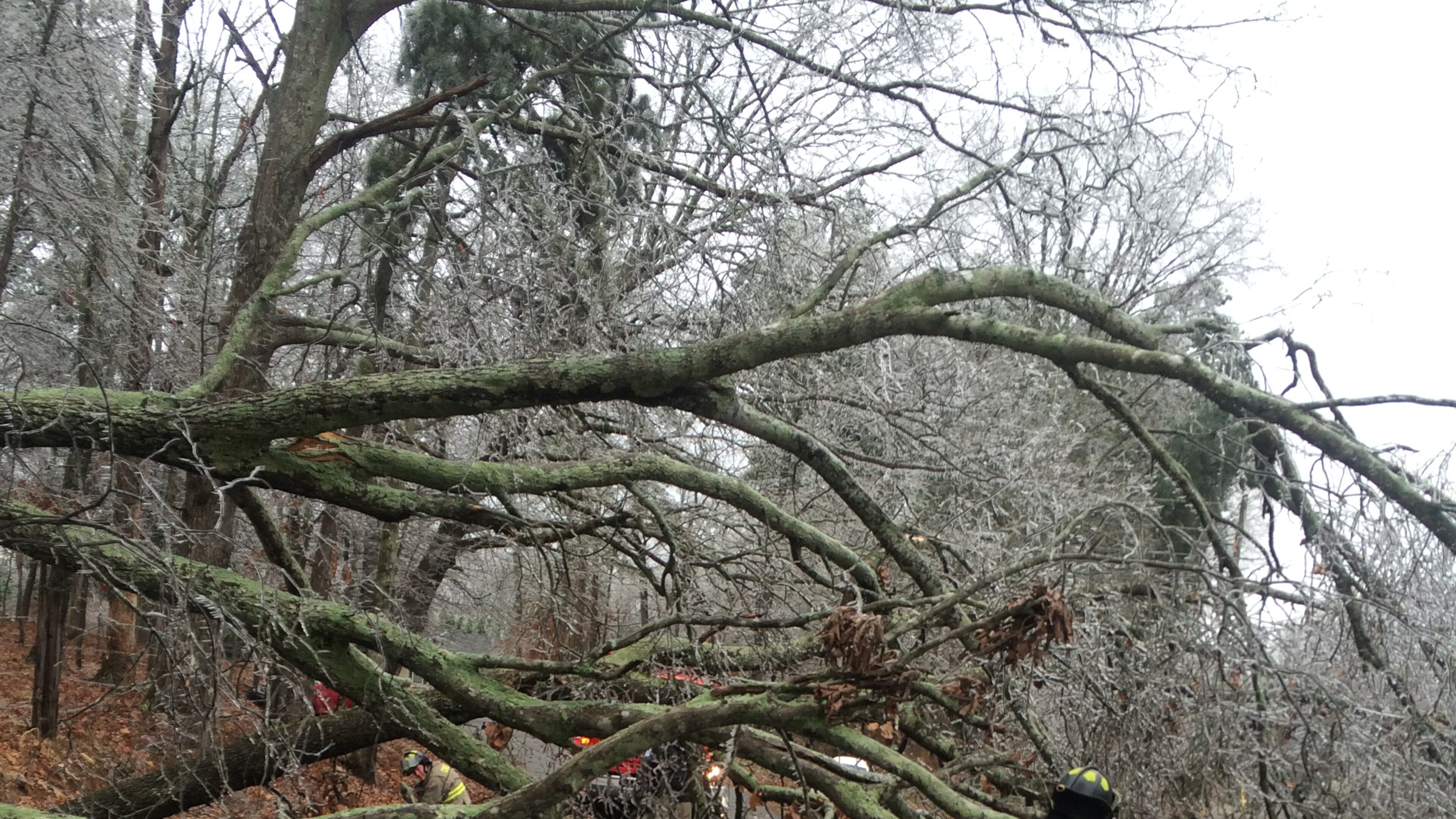 Craig Schneider/cschneider@ajc.com