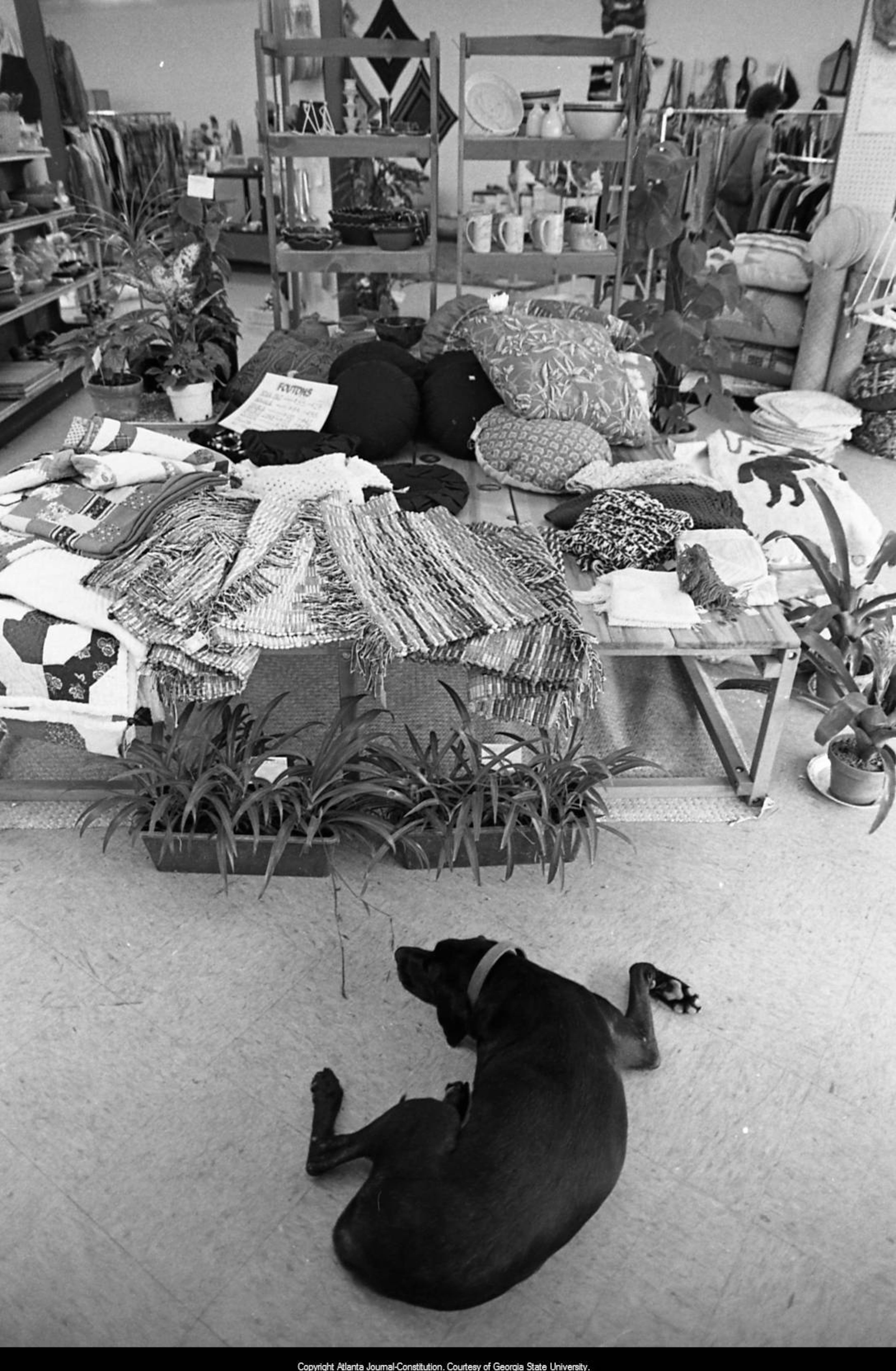 Sept. 19, 1980 -- Everyone's welcome at this Little Five Points shop. Some customers made themselves right at home.
